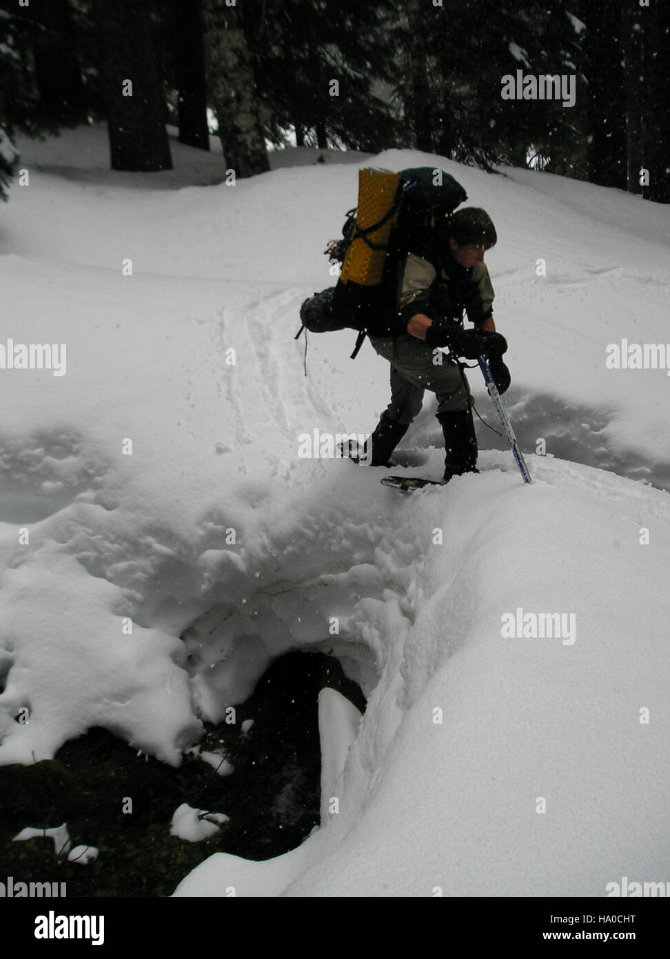 L'Olympic National Park, situato a Washington, offre un'esperienza invernale nella natura selvaggia. I visitatori si impegnano in attività di backpacking e racchette da neve, esplorando paesaggi innevati. Il parco è conosciuto per i suoi diversi ecosistemi, dalle zone costiere alle catene montuose, che lo rendono una destinazione popolare per gli amanti delle attività all'aperto tutto l'anno. Foto Stock
