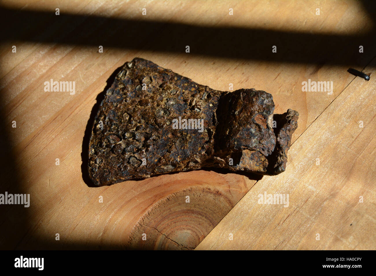 Una testa di taglio in ferro battuto del XVII secolo, scoperta a Salem, Massachusetts, illustra il significato storico dei primi strumenti coloniali. Questo manufatto fa parte degli sforzi di conservazione per mantenere il patrimonio culturale e comprendere la prima vita americana. Foto Stock