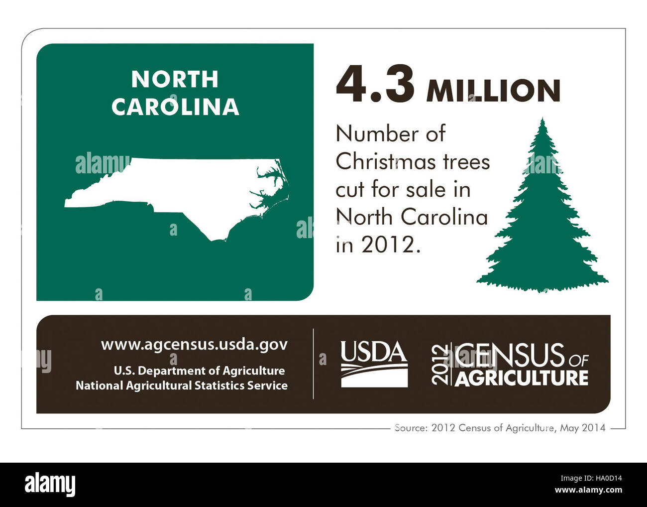 Un'infografica dell'Ufficio del censimento degli Stati Uniti che descrive i dati demografici della Carolina del Nord. Mette in evidenza le statistiche chiave sulla popolazione, le abitazioni e le tendenze economiche, fornendo informazioni sulla politica pubblica e sulla pianificazione dello stato. Foto Stock
