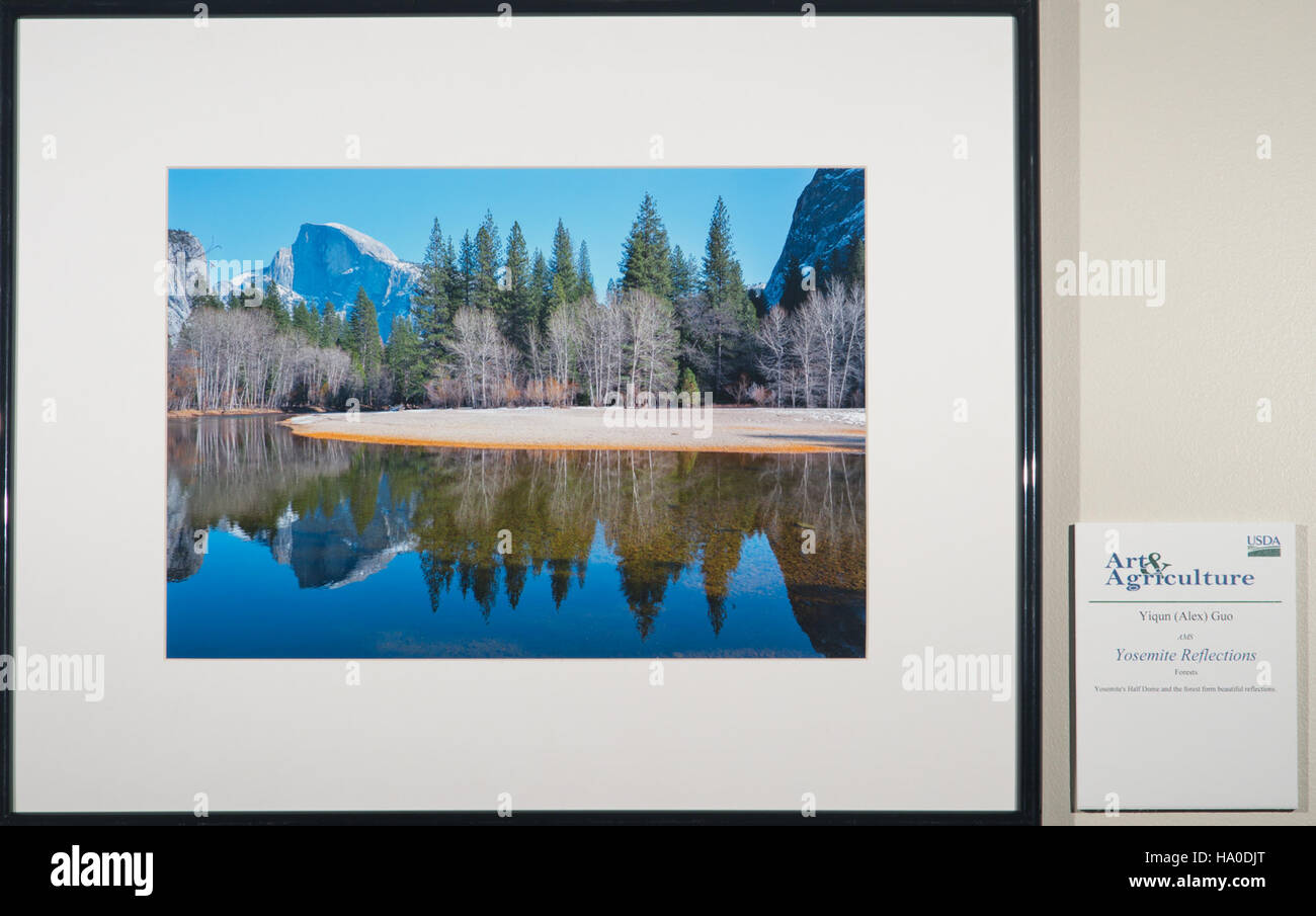 Un'esposizione d'arte che mostra le opere d'arte dei dipendenti presso l'USDA, evidenziando la creatività e i contributi artistici all'interno dell'agenzia federale. La mostra promuove il coinvolgimento dei dipendenti e promuove una cultura creativa all'interno del Dipartimento dell'Agricoltura. Foto Stock