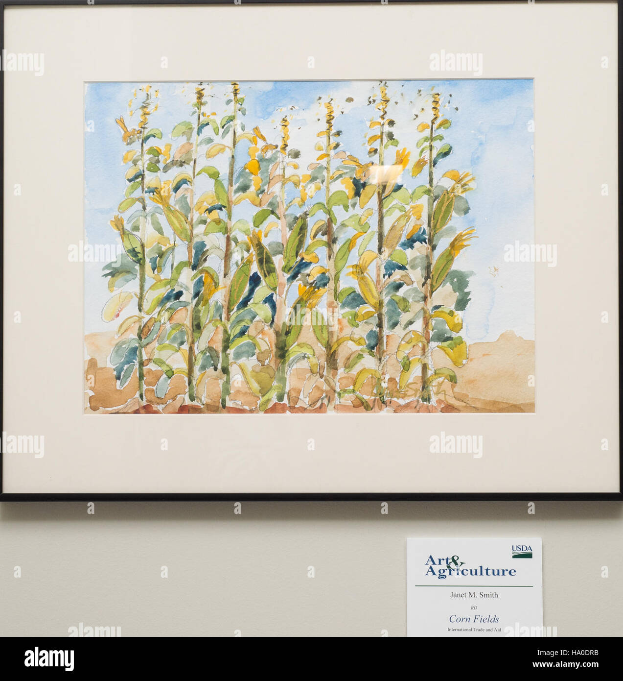 Una mostra d'arte ospitata dall'USDA mette in mostra le opere creative dei suoi dipendenti, sottolineando il legame tra agricoltura, scienza e natura attraverso l'arte visiva. Foto Stock