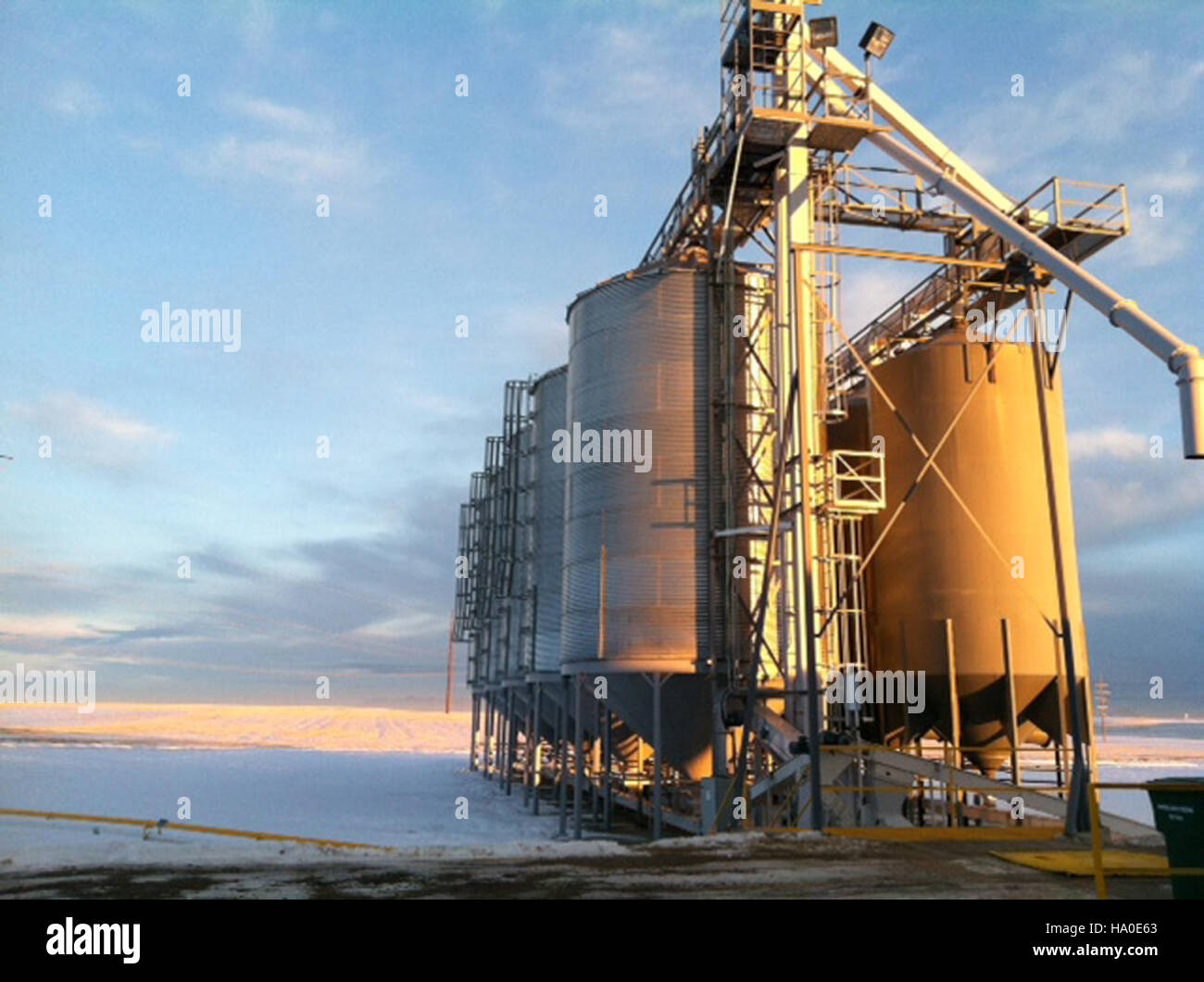 Un'operazione a base di cereali biologici in Montana mette in mostra pratiche agricole sostenibili e la produzione di cereali di alta qualità senza pesticidi o fertilizzanti sintetici. Questo metodo promuove la salute del suolo, la biodiversità e un ambiente più pulito, fornendo un modello per pratiche agricole ecocompatibili. L'azienda agricola è un esempio di agricoltura sostenibile e dei suoi benefici per l'ambiente e le comunità locali. Foto Stock