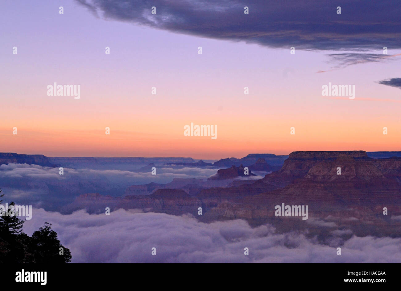 Una vista del Grand Canyon durante un raro evento meteorologico, la Total Inversion, che mette in evidenza i modelli meteorologici dinamici e le caratteristiche geologiche del parco. Foto Stock