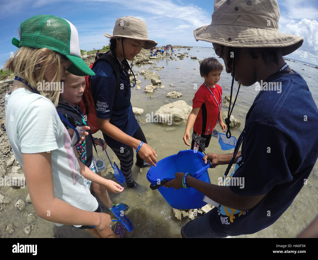 Questa immagine cattura una scena dalla regione del Pacifico, concentrandosi sui paesaggi naturali e sull'interazione tra le attività umane e l'ambiente. Mette in evidenza gli sforzi compiuti nella conservazione e nella scienza ambientale nel contesto di un ecosistema dinamico. Foto Stock