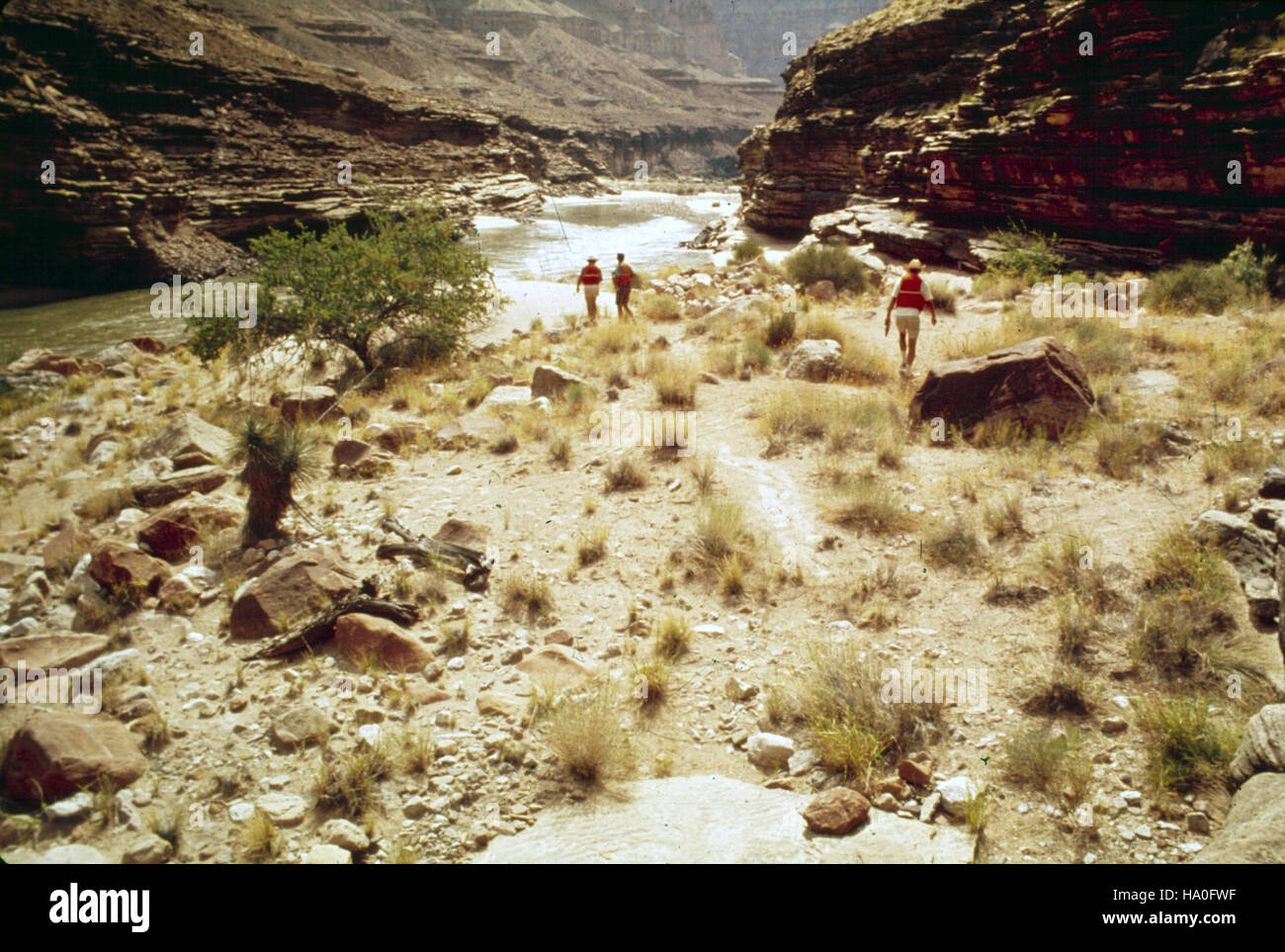 Una foto dell'inventario del Parco Nazionale del Grand Canyon mette in evidenza i principali punti di osservazione lungo il fiume Colorado, tra cui aree campeggio, vegetazione e caratteristiche geologiche che contribuiscono alla ricerca ambientale del parco e all'accesso pubblico. Foto Stock