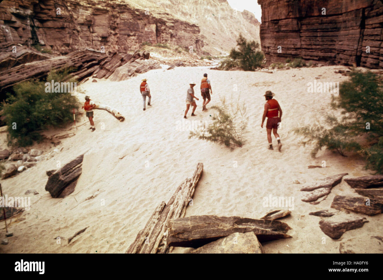 Questa foto storica del Parco Nazionale del Grand Canyon documenta un'indagine di base e un confronto tra i campeggi lungo il fiume Colorado, concentrandosi sulla vegetazione e le caratteristiche paesaggistiche. I dati raccolti nel 1975 aiutano a tenere traccia dei cambiamenti nell'ecosistema del parco e dell'utilizzo dei visitatori nel tempo. Foto Stock