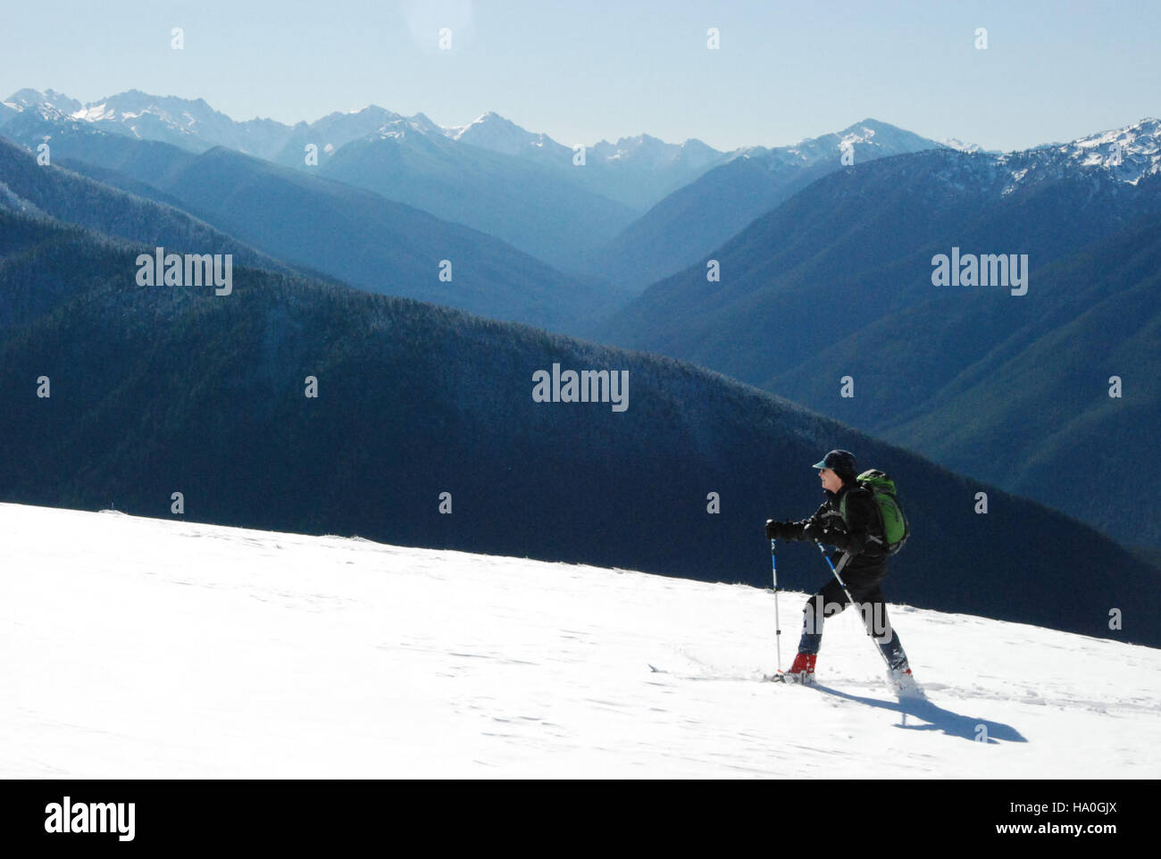 I visitatori dell'Hurricane Ridge nell'Olympic National Park apprezzano lo sci di fondo durante la stagione invernale. I sentieri panoramici offrono splendide vedute dei paesaggi innevati e delle montagne circostanti, offrendo un'attività all'aperto ideale per gli appassionati di sport invernali. Foto Stock