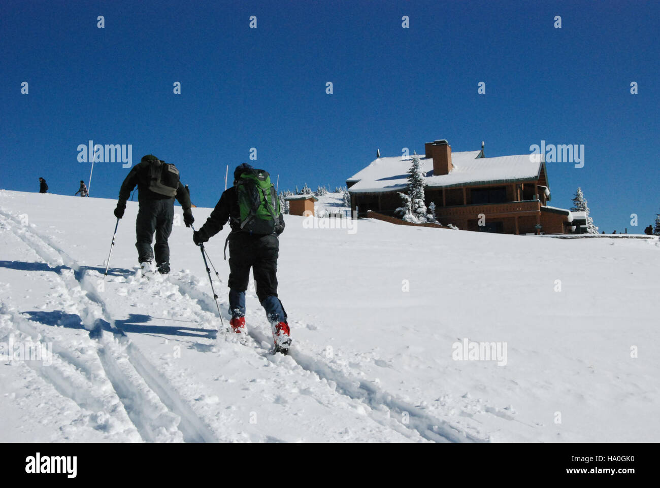 Lo sci di fondo all'Hurricane Ridge nell'Olympic National Park offre ai visitatori un'avventura invernale in uno splendido ambiente naturale. Il Ridge offre panorami mozzafiato e paesaggi innevati incontaminati, rendendolo una destinazione popolare sia per gli amanti degli sport invernali che per gli amanti della natura. Foto Stock