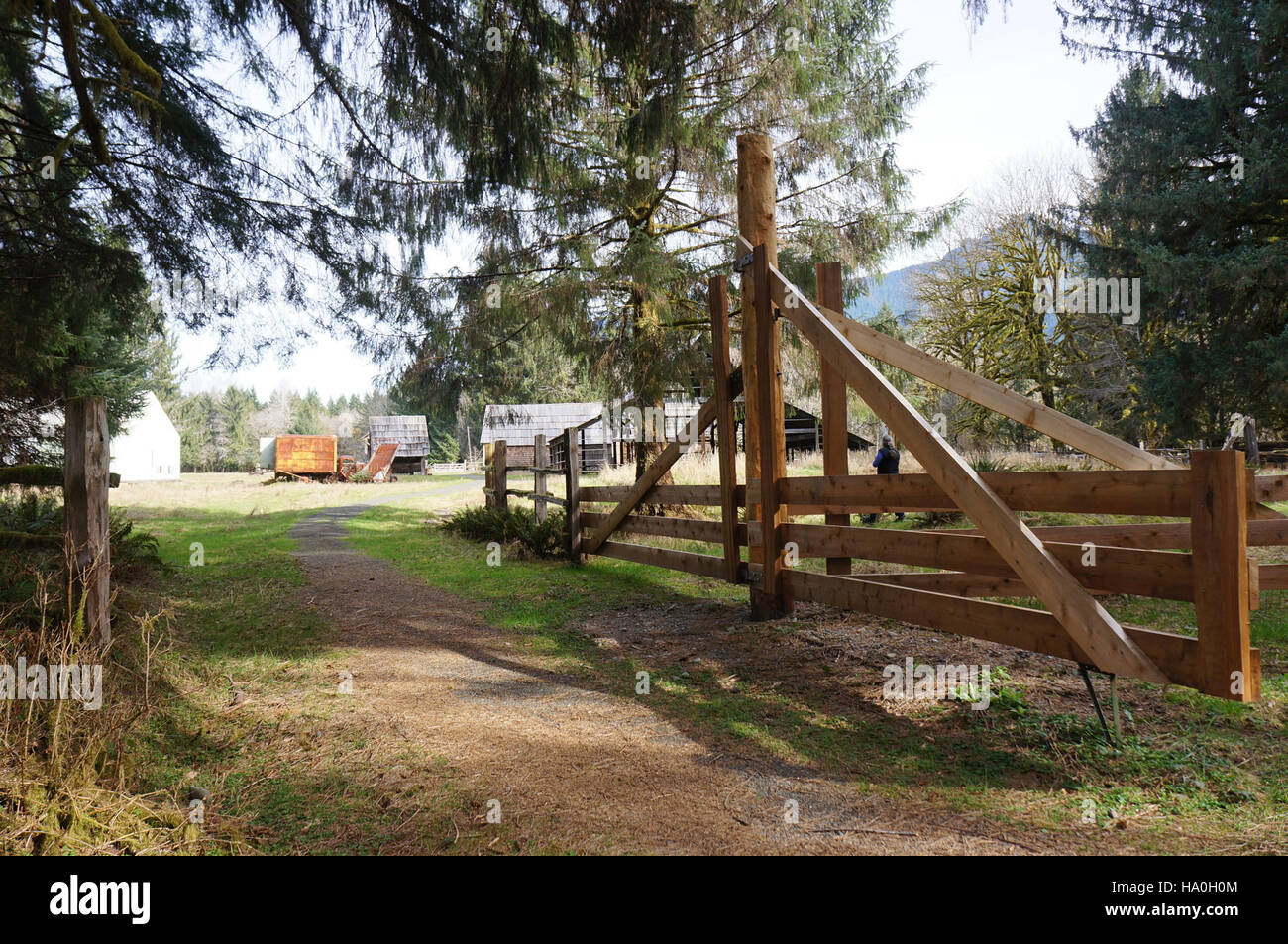 17127749229 olympicnps kestner homestead trail gates quinault storica della foresta pluviale r mckenna marzo 2015 Foto Stock