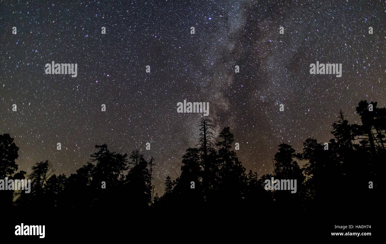 Il Parco Nazionale del Grand Canyon offre una vista mozzafiato del cielo notturno, mostrando la bellezza delle stelle e degli oggetti celesti nell'aria limpida del deserto. Questo video evidenzia lo stato del cielo scuro del parco, fornendo uno sguardo educativo sull'osservazione delle stelle e delle osservazioni celesti. Foto Stock