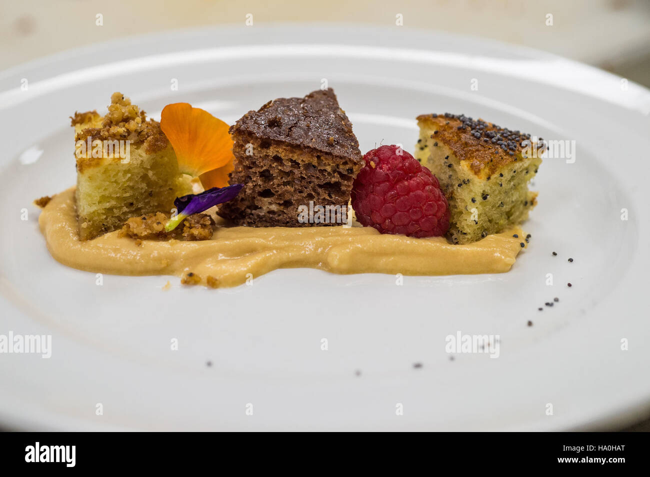 Questa foto mostra i funzionari dell'USDA che discutono del programma supplementare di assistenza alla nutrizione (SNAP) e della Farm Bill del 2014. L'evento evidenzia il ruolo del governo nel sostenere la nutrizione, l'agricoltura e il lavoro attraverso politiche, formazione e finanziamenti. Foto Stock