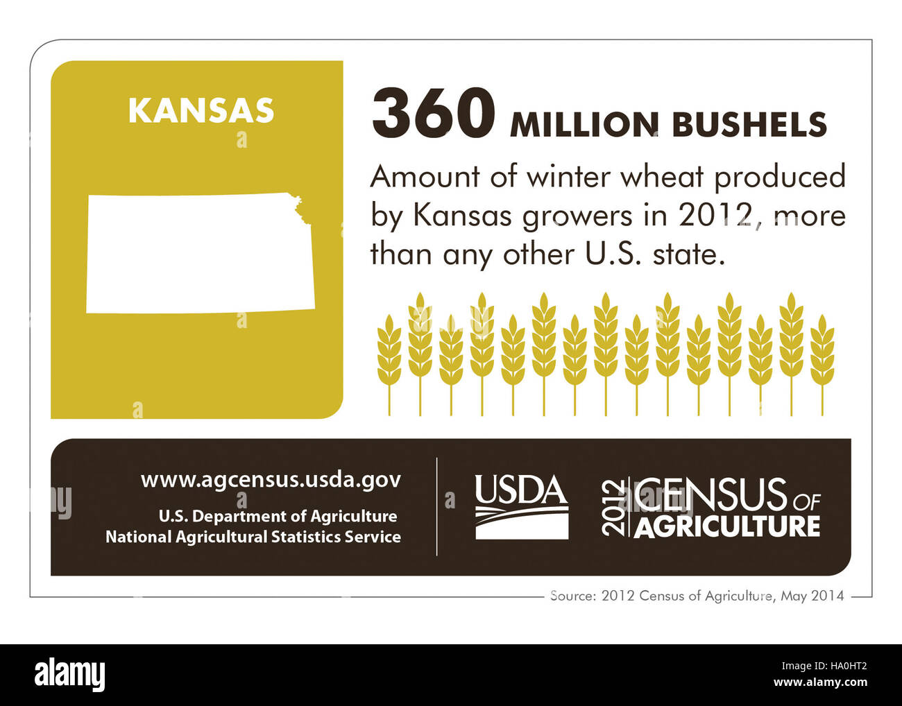 Un’infografica che illustra in dettaglio i contributi agricoli dello Stato del Kansas, evidenziando le statistiche chiave e l’importanza dell’agricoltura per l’economia dello Stato e la salute ambientale. Foto Stock