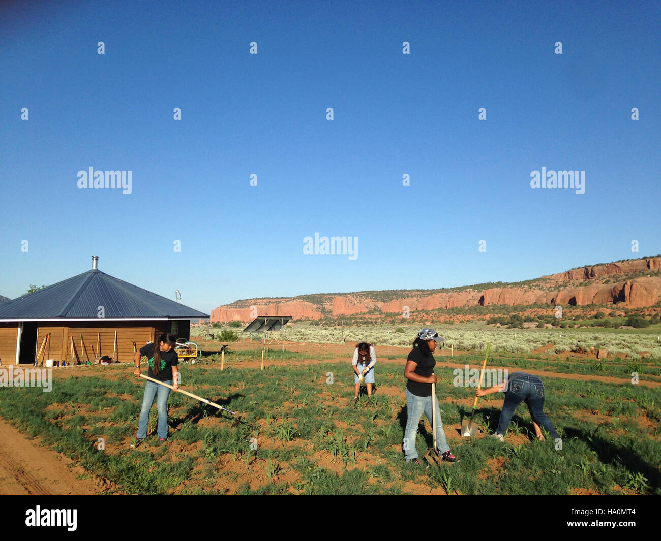 Questa immagine mostra un gruppo di giovani studenti estivi del college impegnati in sforzi per salvaguardare il patrimonio naturale, partecipando a progetti di educazione ambientale e conservazione. Foto Stock Questa immagine mostra un gruppo di giovani studenti estivi del college impegnati in sforzi per salvaguardare il patrimonio naturale, partecipando a progetti di educazione ambientale e conservazione. Foto Stock