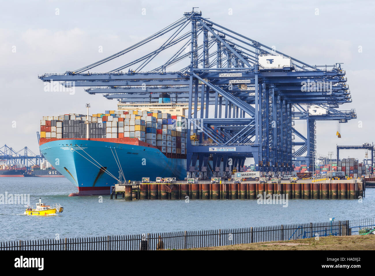 Carico / scarico contenitore nave al porto di Felixtowe. Rimorchiatore vicino a nave. Foto Stock