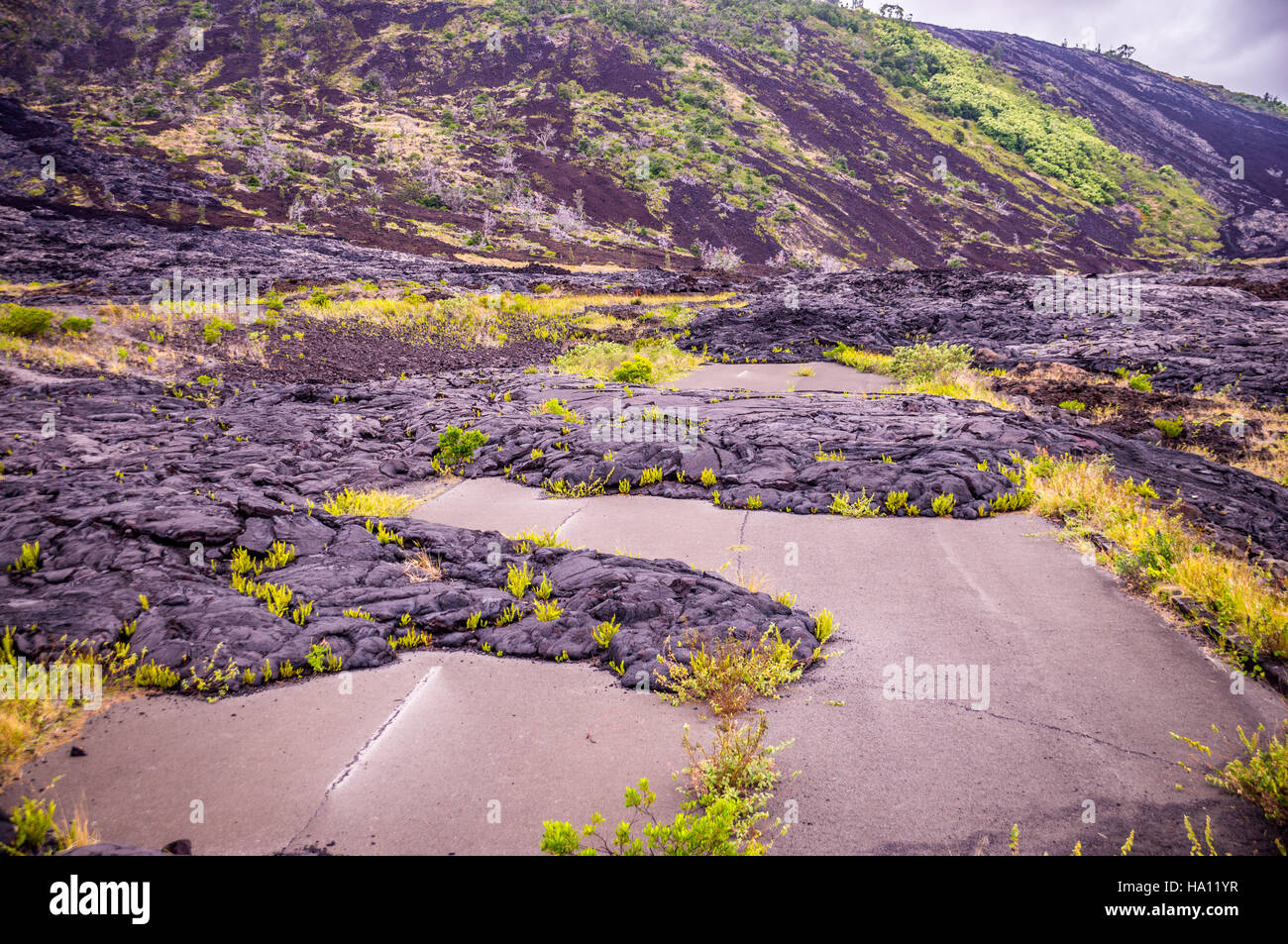Strada con la lava in Hawaii Foto Stock