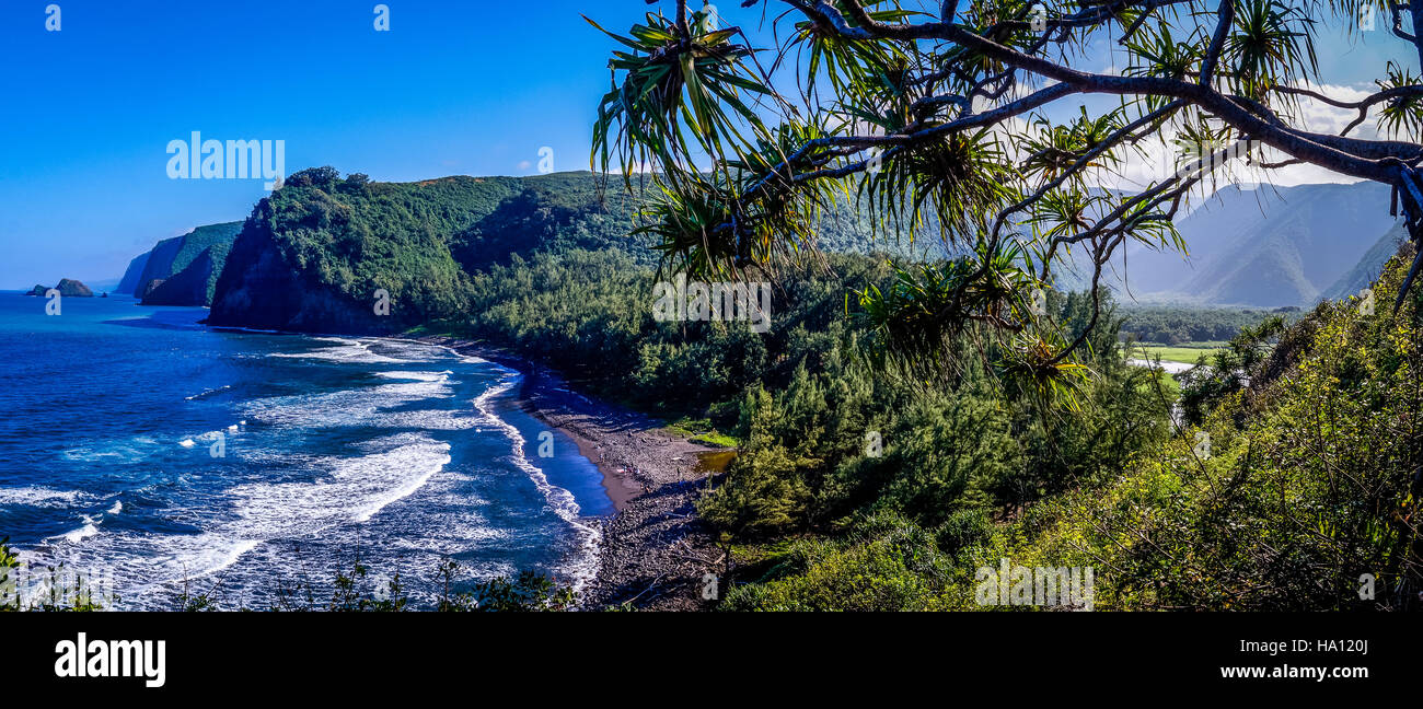 Valle di Pololu Hawaii Panorama Foto Stock
