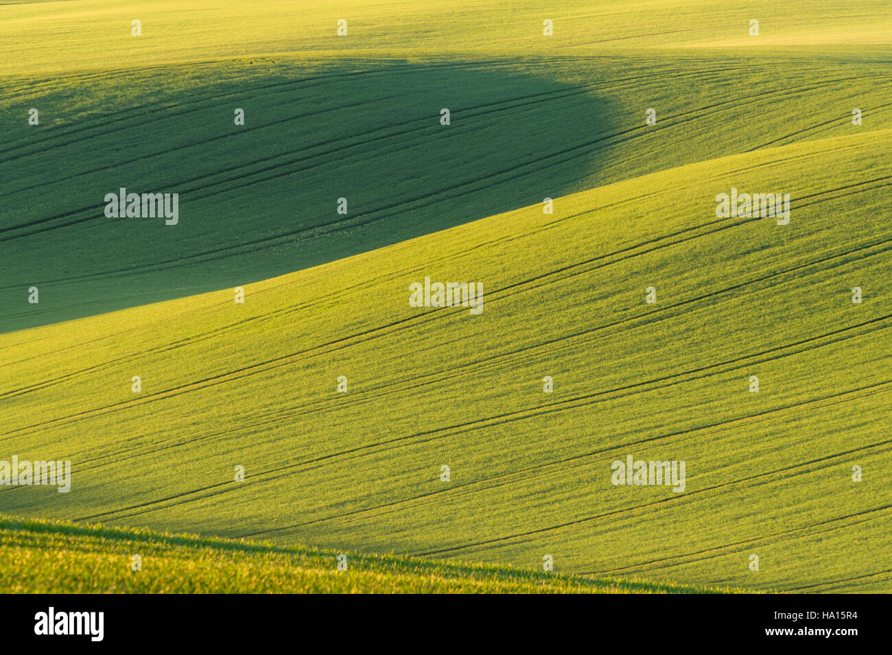 Dolci colline Foto Stock