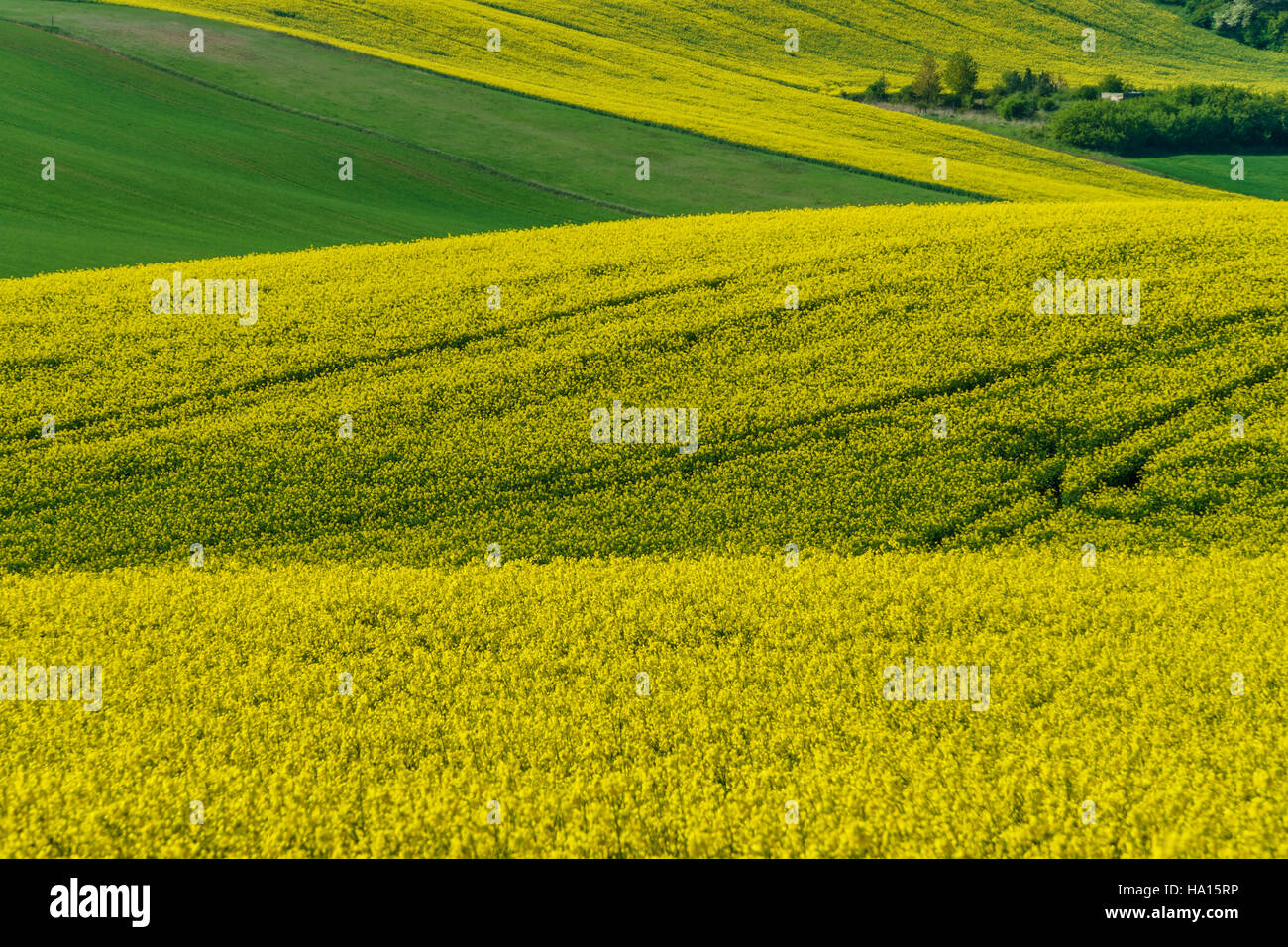 Dolci colline Foto Stock