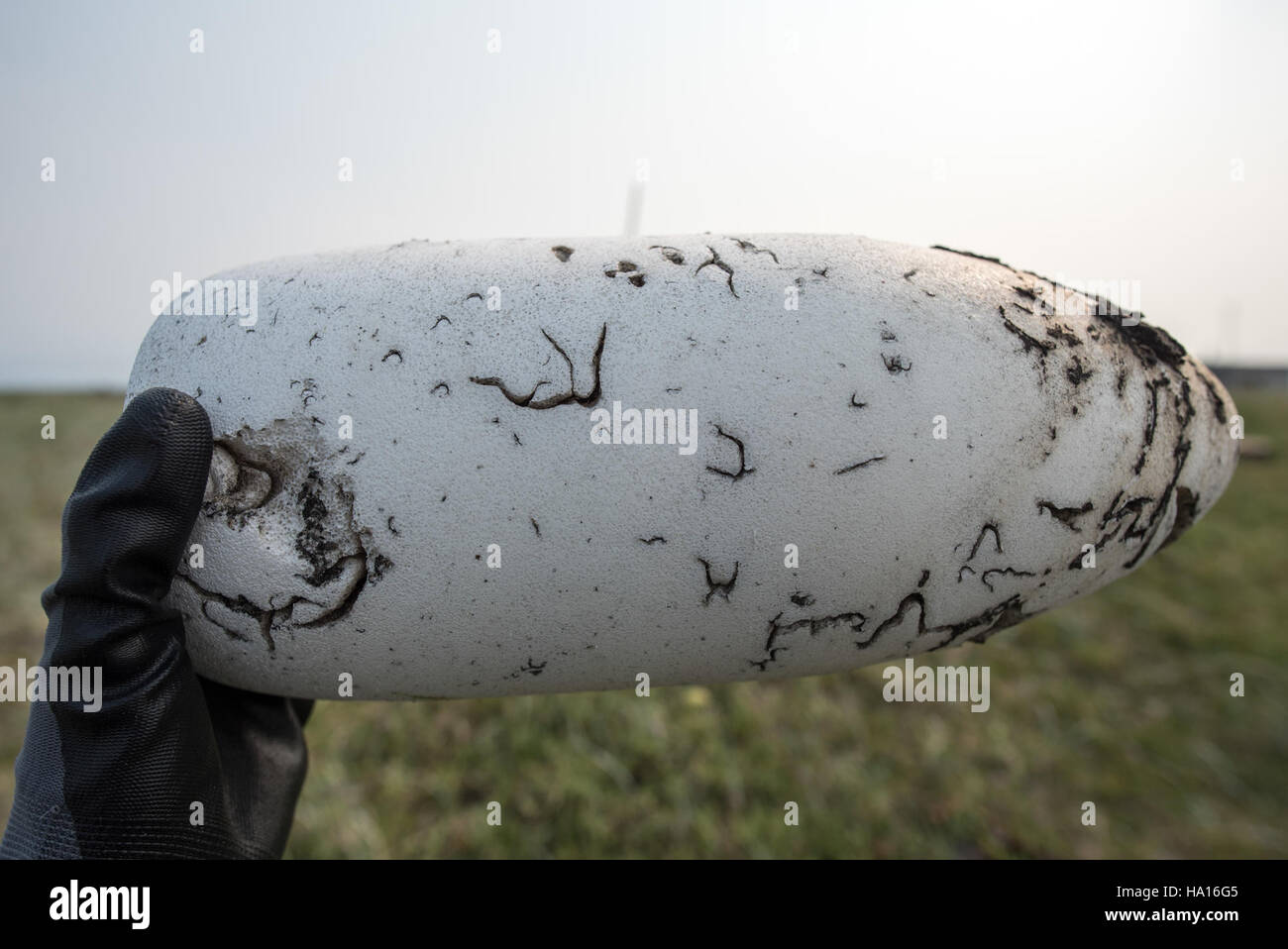 I detriti marini nei parchi nazionali dell'Alaska, evidenziati dagli sforzi di pulizia del 2015, mostrano la sfida costante di proteggere gli ecosistemi marini dall'impatto umano. Foto Stock