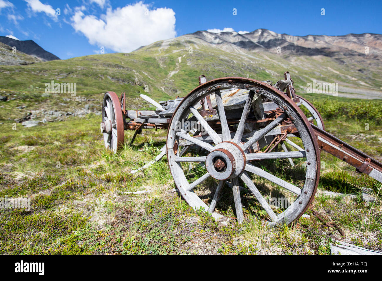 Bremner Equipment in Alaska supporta la ricerca scientifica e la gestione delle risorse all'interno dei parchi nazionali. L'attrezzatura è essenziale per il lavoro sul campo, facilitando lo studio dell'ambiente naturale e contribuendo alla conservazione degli ecosistemi unici dell'Alaska. Foto Stock