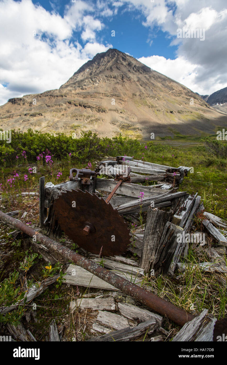 La Bremner Equipment in Alaska è utilizzata per sostenere il lavoro sul campo scientifico e ambientale, fornendo strumenti essenziali per la ricerca nei diversi ecosistemi dello stato. Questa attrezzatura è fondamentale per mantenere gli studi ecologici e la gestione del parco. Foto Stock