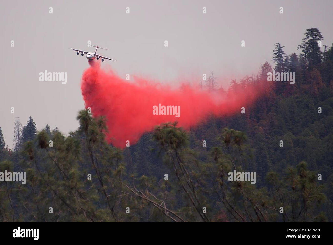 Questa immagine mostra un paesaggio naturale negli Stati Uniti, concentrandosi sulla conservazione degli ecosistemi e della fauna selvatica. La scena sottolinea l'importanza di mantenere la biodiversità e proteggere le aree naturali dagli impatti umani. Il lavoro di agenzie federali come l'USDA sostiene gli sforzi di conservazione, garantendo la salute e la longevità degli ecosistemi in tutto il paese. Foto Stock