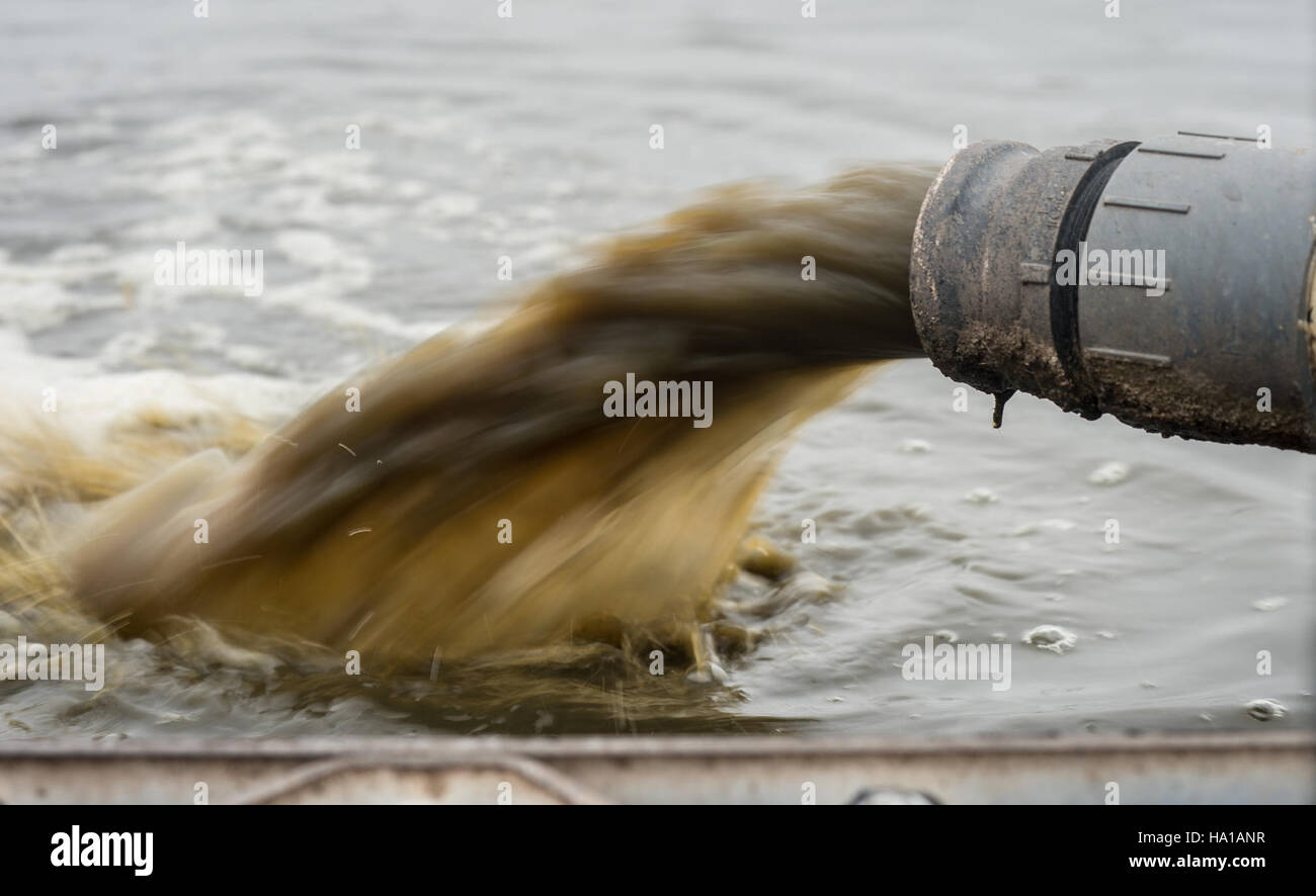 Il programma Renewable Energy for America (REAP) dell’USDA sostiene le imprese agricole con tecnologie di trattamento dei rifiuti animali, migliorando la sostenibilità ambientale e l’efficienza energetica attraverso sistemi avanzati. Foto Stock