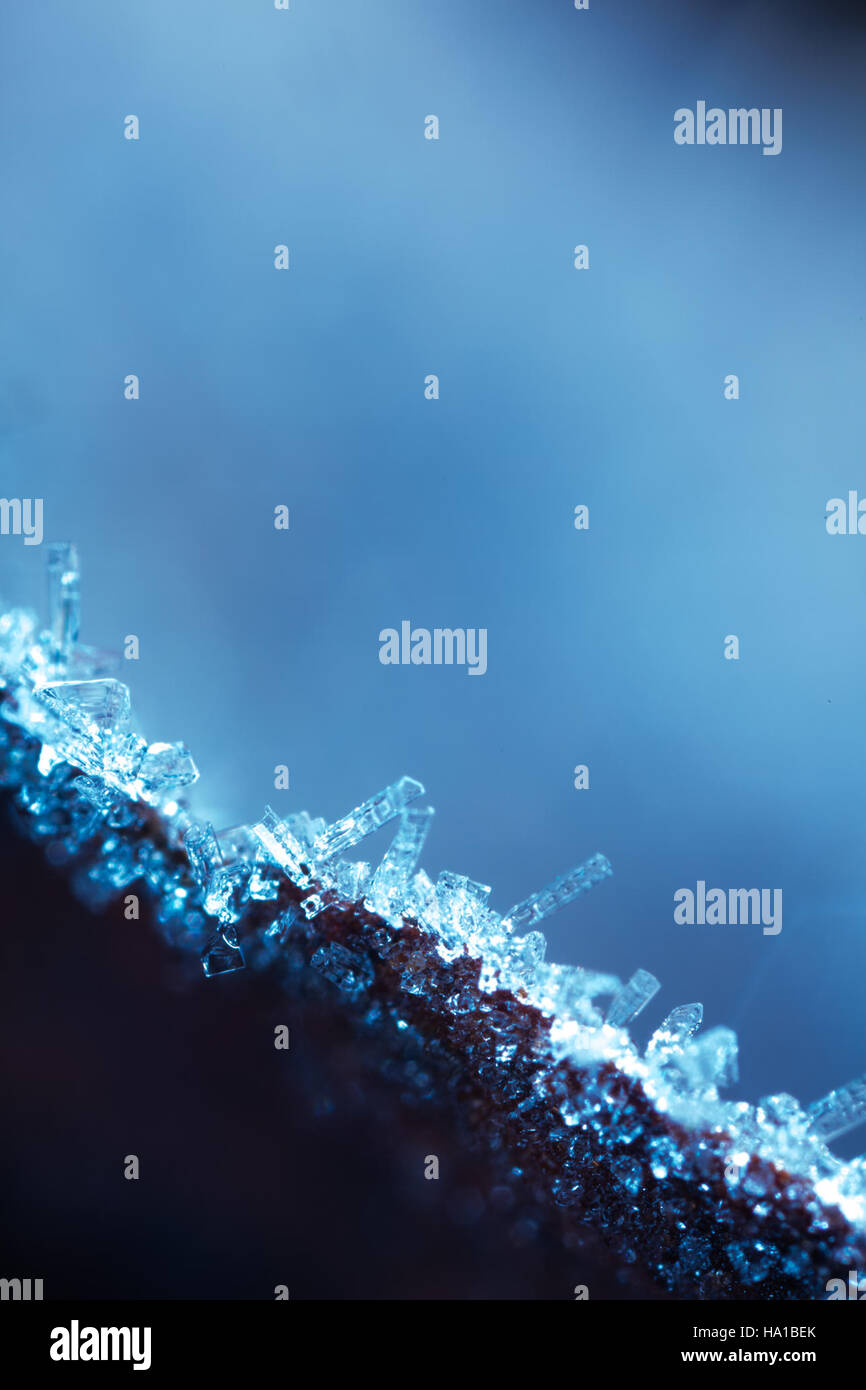 Una vista spettacolare dei grattacieli in una città degli Stati Uniti mostra il paesaggio urbano, dove la natura e lo sviluppo umano si intersecano. Queste torreggianti strutture rappresentano l'architettura moderna e il rapporto dinamico tra l'ambiente costruito e le risorse naturali. Foto Stock