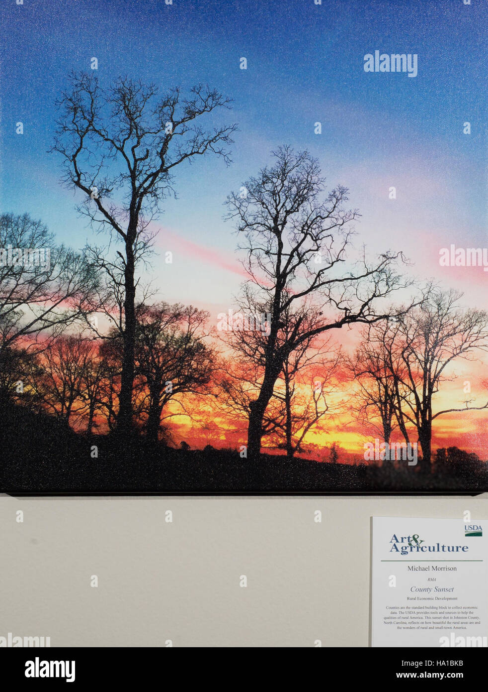 Questa opera, commissionata dall'USDA, rappresenta l'intersezione tra scienza agricola, natura e il ruolo del Dipartimento dell'Agricoltura degli Stati Uniti nella promozione della sostenibilità e della salute ambientale. Il pezzo incorpora vari mezzi, tra cui pittura, schizzi e scultura, evidenziando la connessione tra l'innovazione umana e la conservazione della natura. Celebra i continui sforzi dell'USDA nella ricerca agricola e nella tutela dell'ambiente. Foto Stock