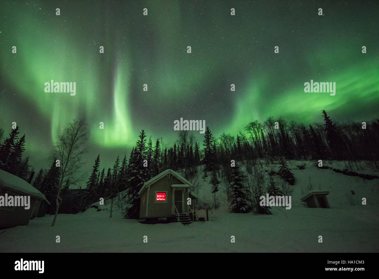 26806138860 alaskanps 2016 Yukon Quest in Yukon-Charley - Slaven's Roadhouse Foto Stock