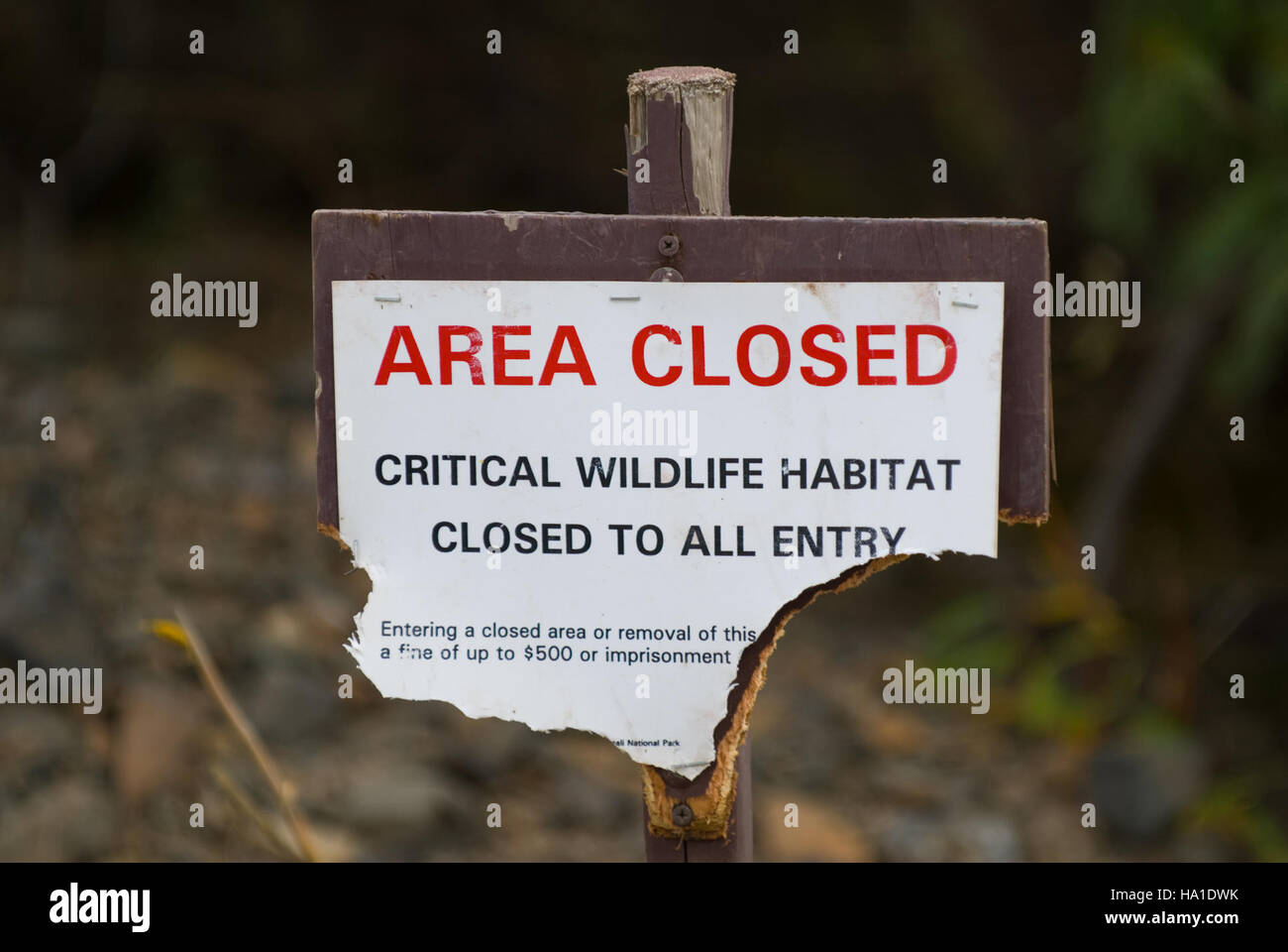 Un cartello di chiusura della fauna selvatica nel Parco Nazionale di Denali avvisa i visitatori delle aree ad accesso limitato per proteggere la fauna selvatica durante i periodi sensibili. Questa misura fa parte dello sforzo del parco per mantenere l'equilibrio ecologico e proteggere le specie dai disturbi umani. Foto Stock
