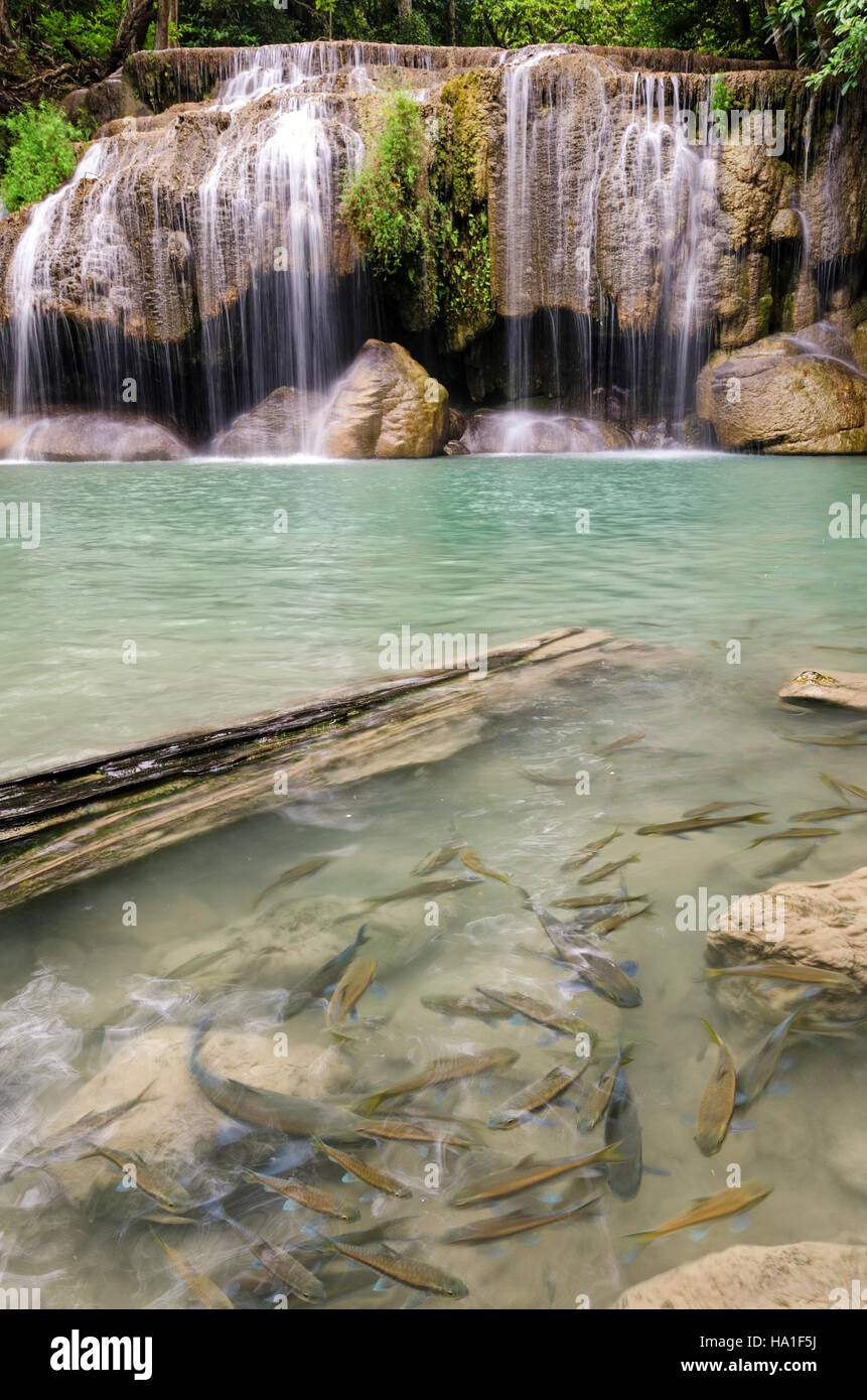 Cascate di Erawan (Thailandia) fiabesca atmosfera nel Parco Nazionale di Erawan Foto Stock