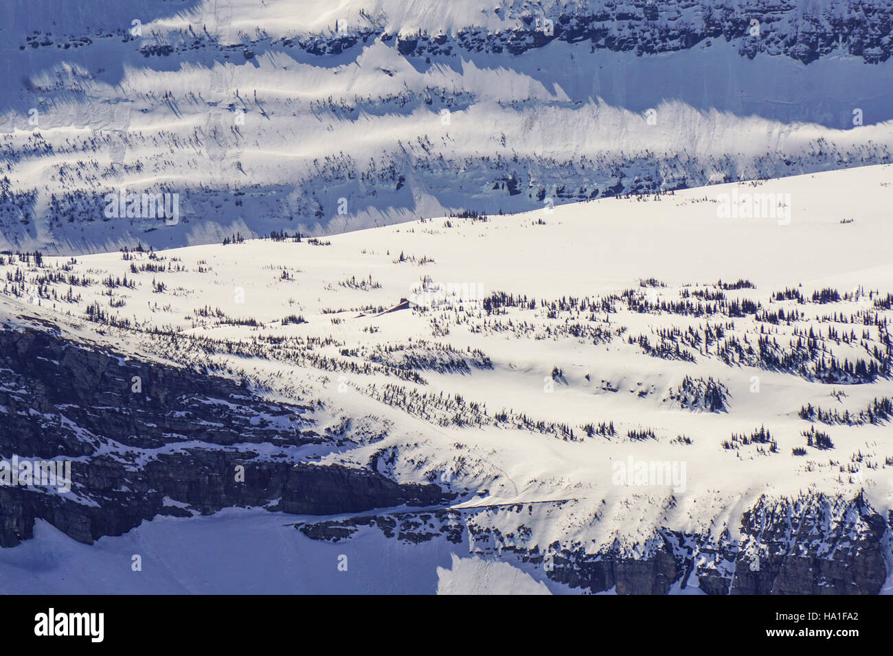Il Logan Pass Visitor Center, situato nel Glacier National Park, offre ai visitatori un punto di accesso per esplorare le bellezze naturali del parco e la variegata fauna selvatica. Il centro offre mostre didattiche, servizi di parco e accesso a sentieri escursionistici in una delle aree più panoramiche del parco. Foto Stock