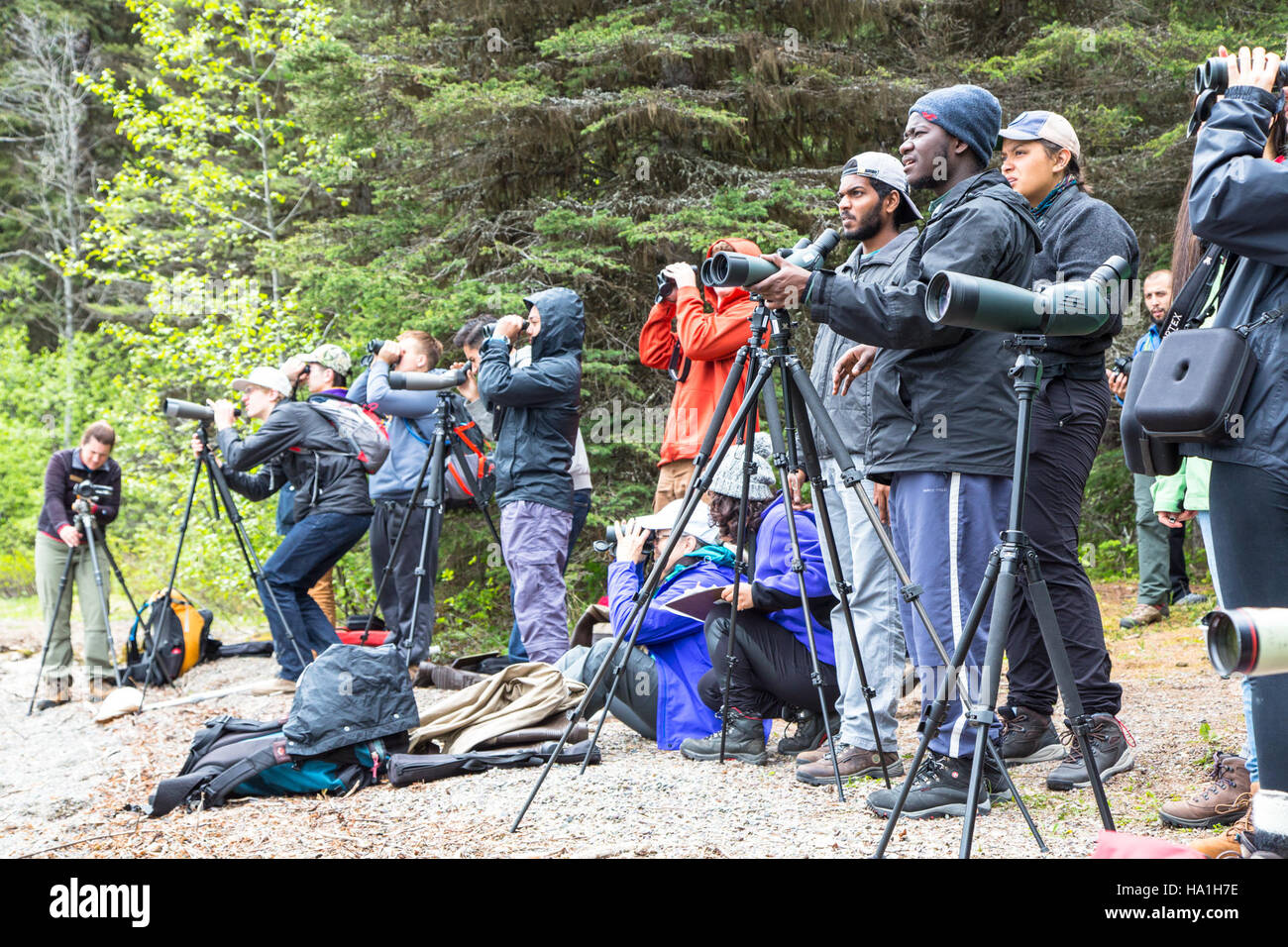 L'evento BioBlitz presso il lago Bowman nel Glacier National Park ha riunito scienziati, volontari e il pubblico per documentare la biodiversità locale. Questa iniziativa mirava ad aumentare la comprensione delle specie del parco e della salute dell'ecosistema attraverso la partecipazione dei cittadini alle scienze. Foto Stock