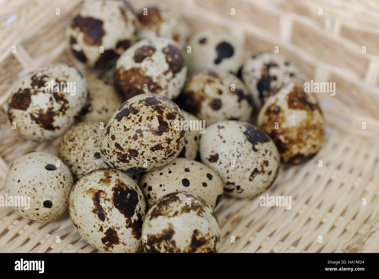 Uova di quaglia impilati in un cestello di piccole dimensioni Foto Stock