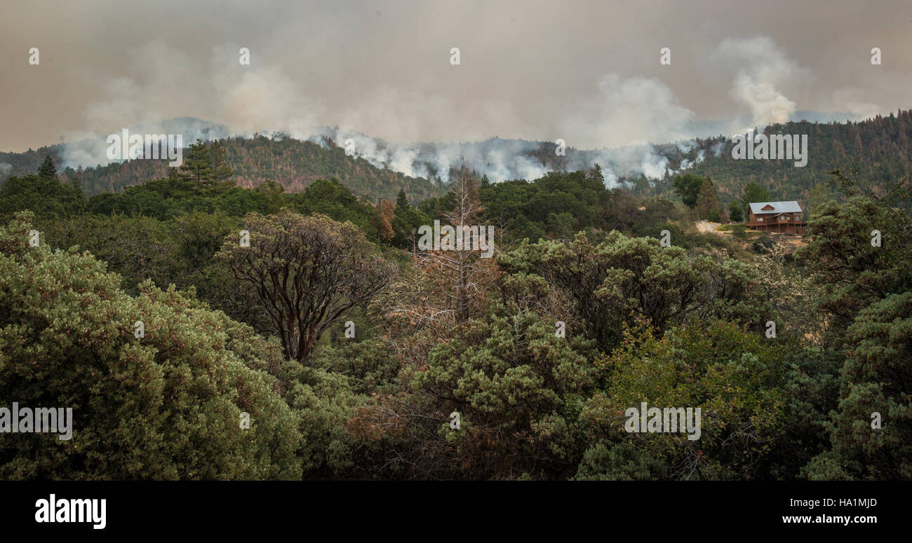 Questa immagine cattura le conseguenze di un incendio nella contea di Kern, California, mostrando gli sforzi dell'USDA e del servizio forestale degli Stati Uniti per gestire gli incendi nelle aree boschive e proteggere gli ecosistemi forestali. L'incendio colpì le aree vicino a Kernville e al lago Isabella nell'area del fiume Kern. Foto Stock
