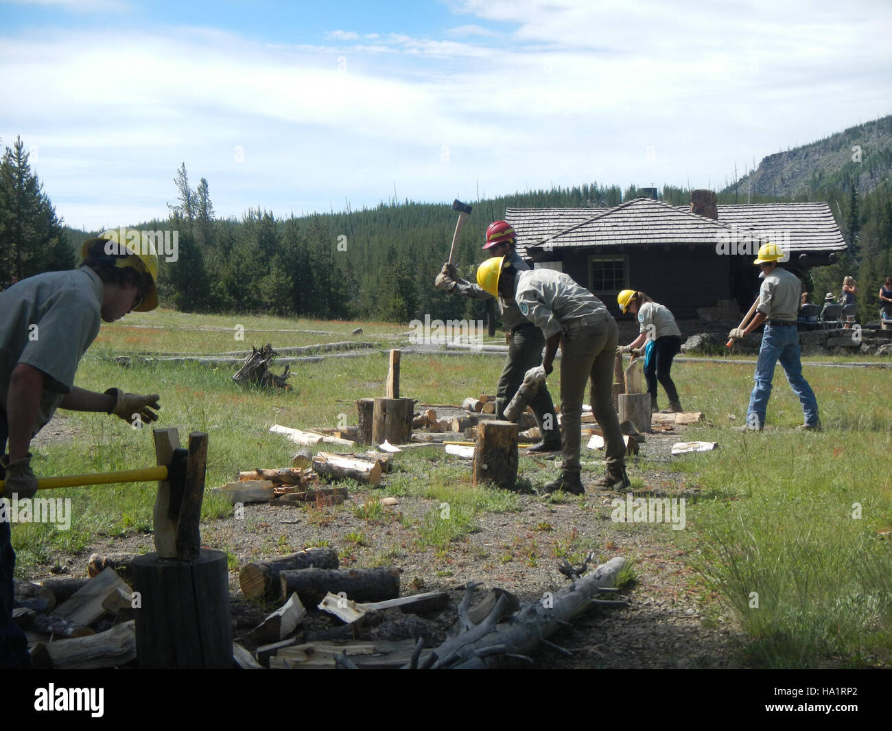 Una foto accattivante dal parco nazionale di Yellowstone, che mostra la sua bellezza naturale e il ruolo del National Park Service nella conservazione dei suoi ecosistemi. La foto sottolinea la biodiversità del parco, le caratteristiche geotermiche e gli sforzi di conservazione in corso per proteggere il suo paesaggio unico. Foto Stock