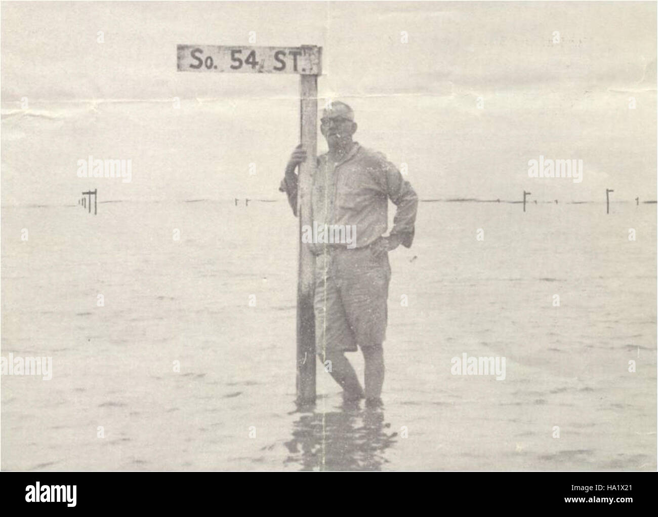 Una foto dal Parco Nazionale dell'Assateague che mostra i suoi ecosistemi costieri unici. Il parco è noto per la sua variegata fauna selvatica, tra cui cavalli selvatici, e funge da habitat importante per varie specie della regione. Foto Stock