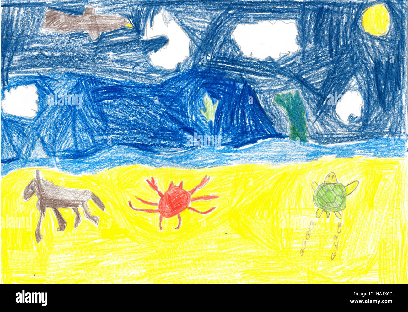 Assateague National Seashore è un'area protetta situata sulla costa orientale degli Stati Uniti, conosciuta per i suoi cavalli selvatici, la variegata fauna selvatica ed ecosistemi costieri. Offre opportunità di svago, tra cui escursioni, nuoto e osservazione della fauna selvatica, oltre a fungere da riserva vitale per varie specie di uccelli. Foto Stock