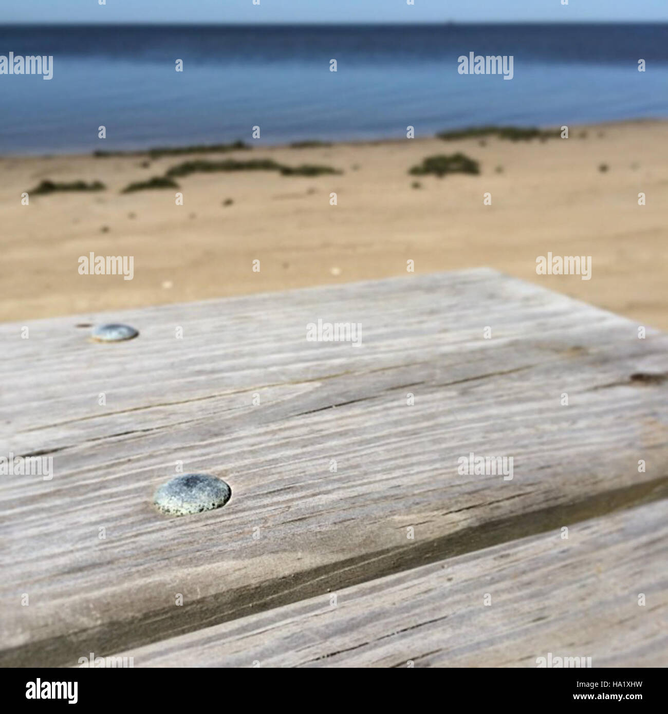 Il Cape Hatteras National Park è una destinazione popolare per le attività all'aperto, offrendo ai visitatori l'opportunità di godersi la natura e le attività ricreative. Il parco, noto per la sua bellezza paesaggistica, comprende aree come salvo, ideali per picnic e altre attività per famiglie. Foto Stock