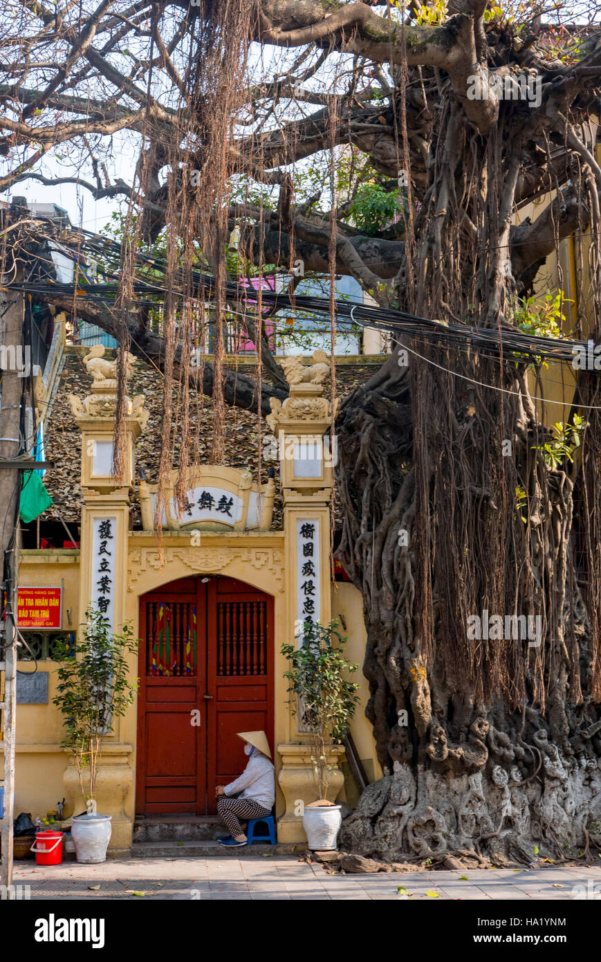 Il vecchio quartiere di Hanoi, Vietnam Asia Foto Stock