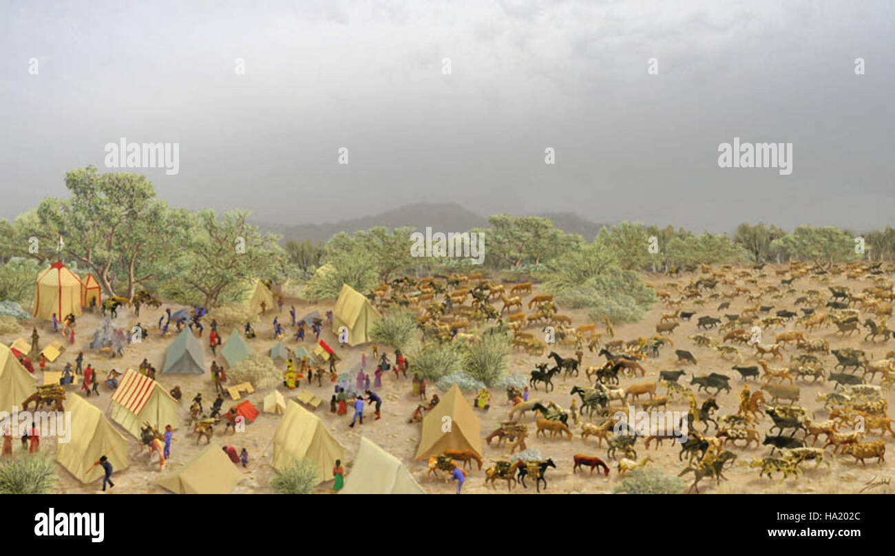 Llano grande è un'area pittoresca vicino a Bill Singleton, conosciuta per i suoi diversi ecosistemi e il suo significato storico. L'area è spesso evidenziata nelle discussioni sulla conservazione del territorio e sull'equilibrio tra sviluppo e conservazione. Foto Stock