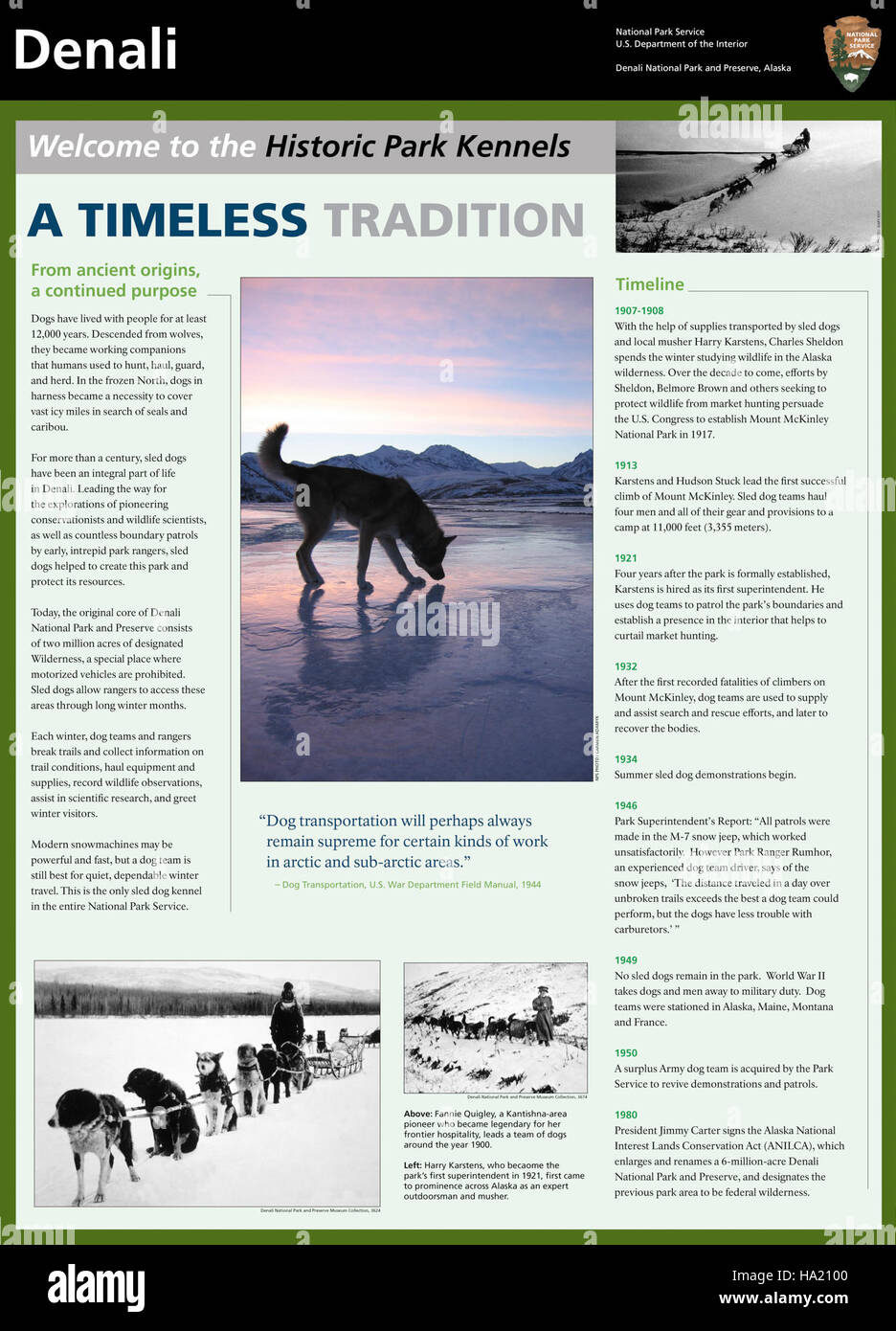 I canili del Denali National Park, che ospitano cani da slitta, fungono da spazio educativo dove i visitatori possono conoscere la storia del parco e il ruolo dei cani da slitta nell'esplorazione dell'Alaska. Foto Stock