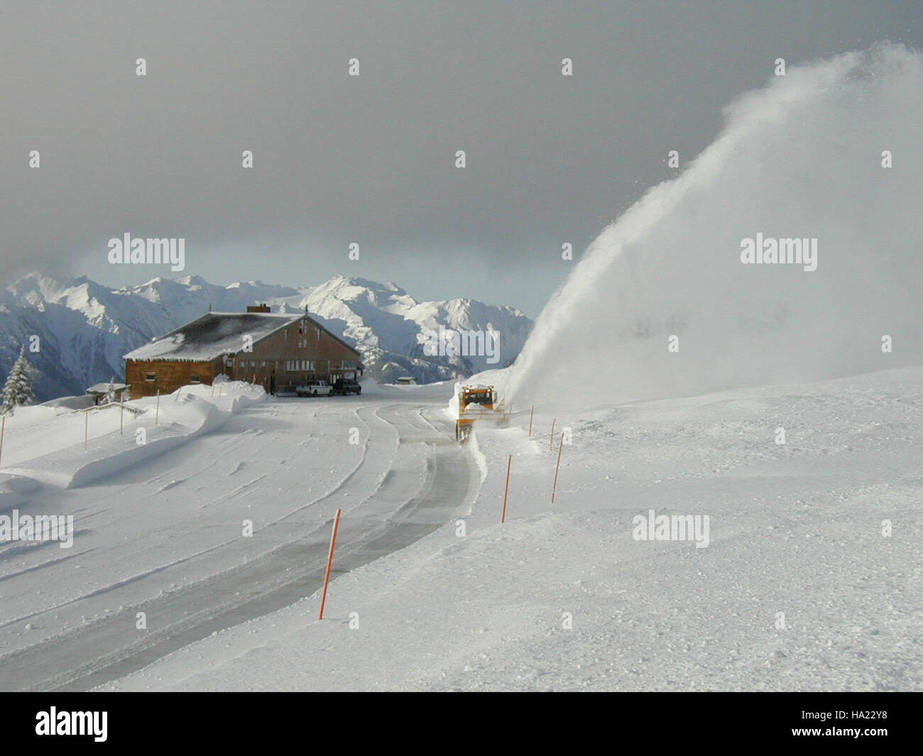 L'Hurricane Ridge nell'Olympic National Park è caratterizzato da forti nevicate in inverno. Le lame di neve sono utilizzate per garantire un accesso sicuro a questa popolare destinazione per le attività ricreative invernali, garantendo la sicurezza dei visitatori e l'accessibilità al parco. Foto Stock
