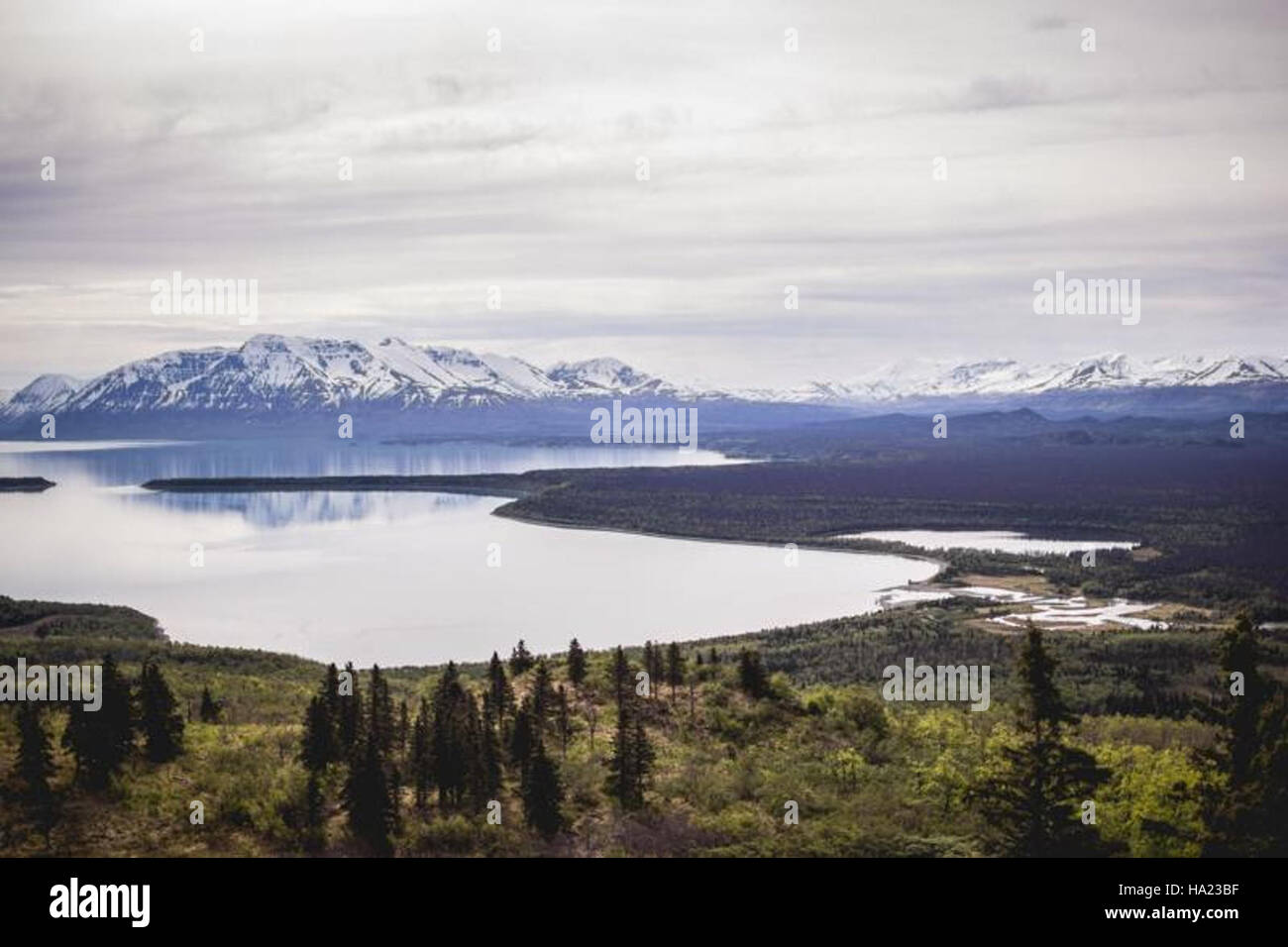 Il Ranger Daniel del Katmai National Park conduce un programma incentrato sulle caratteristiche naturali del parco e sulla ricerca scientifica. Il lavoro del ranger aiuta a informare i visitatori sull'ambiente locale, la fauna selvatica e gli sforzi di conservazione all'interno del parco. Foto Stock