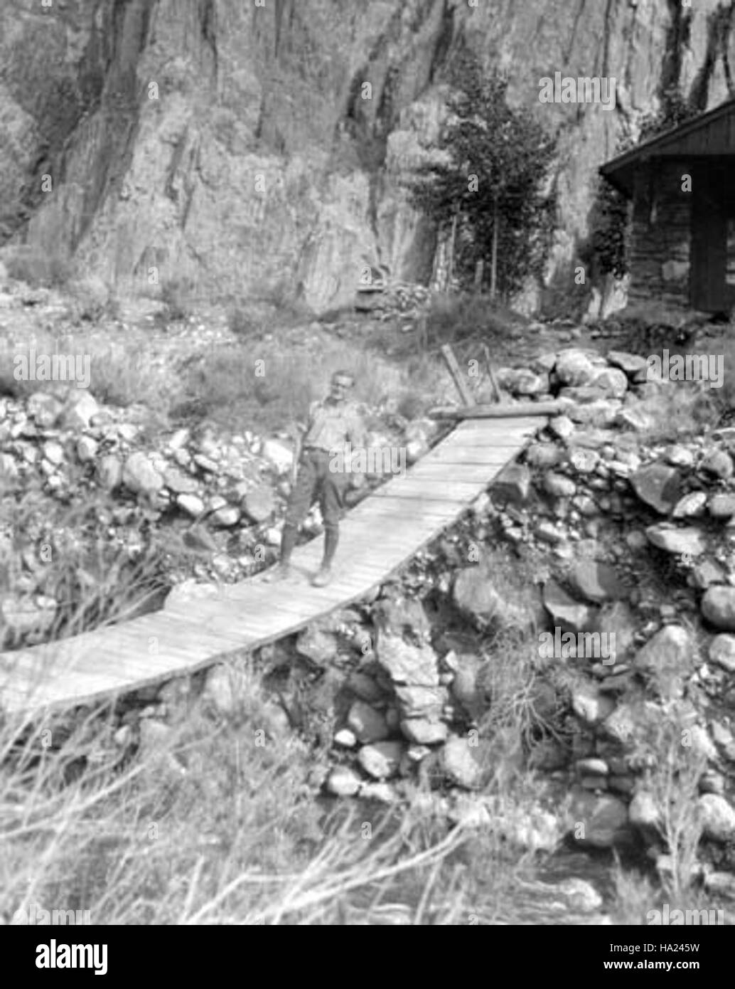 Grand Canyon nps 176554739563178 Grand Canyon storico - Bright Angel Creek Bridge 1929 Foto Stock