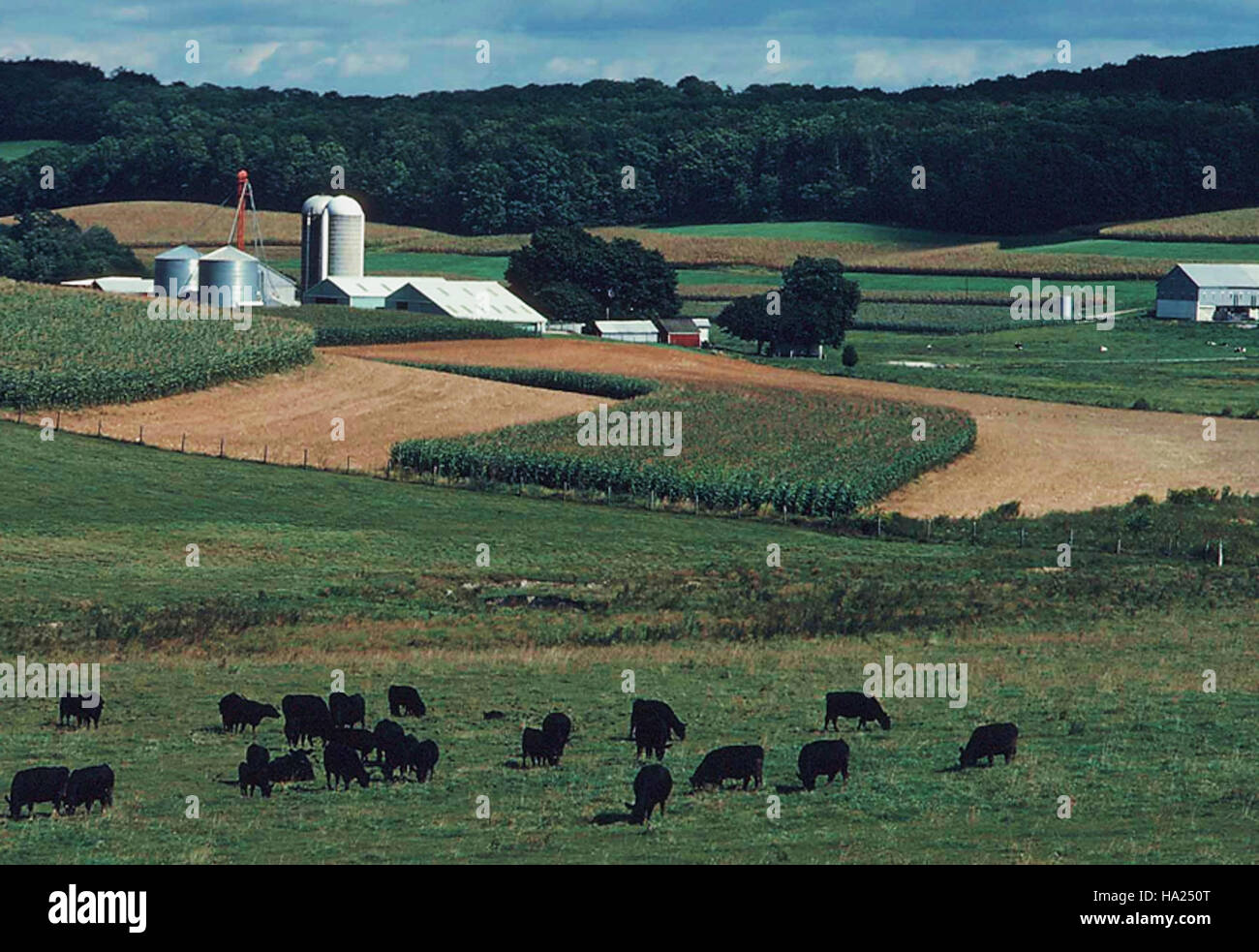 L'USDA lavora su progetti di ricerca relativi alle emissioni e ai gas negli ecosistemi naturali. Gli studi si concentrano sugli effetti dei vari gas sugli ambienti e sugli ecosistemi dei parchi e mirano a sviluppare strategie di mitigazione e conservazione. Foto Stock