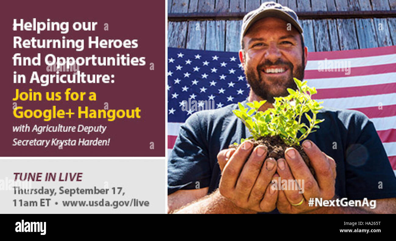 Si vede una persona che tiene piantine di piante di fronte alla bandiera americana, simboleggiando l'intersezione tra scienza ambientale e orgoglio nazionale. Questa immagine sottolinea gli sforzi compiuti nelle iniziative di conservazione e riforestazione all'interno dei parchi statunitensi e nei programmi governativi volti a preservare le risorse naturali della nazione. Foto Stock