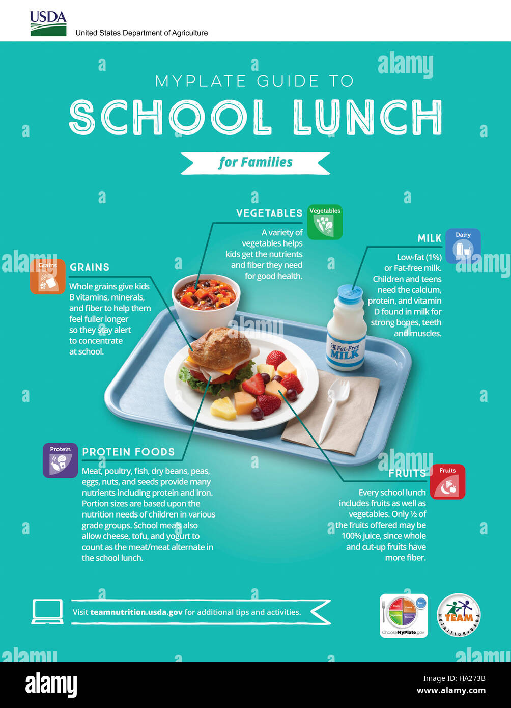 Questa infografica offre una guida visiva al programma MyPlate dell'USDA, progettato per educare i bambini e le scuole sulle sane abitudini alimentari. Promuove un'alimentazione bilanciata attraverso le giuste dimensioni delle porzioni e le scelte del gruppo alimentare. Foto Stock Questa infografica offre una guida visiva al programma MyPlate dell'USDA, progettato per educare i bambini e le scuole sulle sane abitudini alimentari. Promuove un'alimentazione bilanciata attraverso le giuste dimensioni delle porzioni e le scelte del gruppo alimentare. Foto Stock
