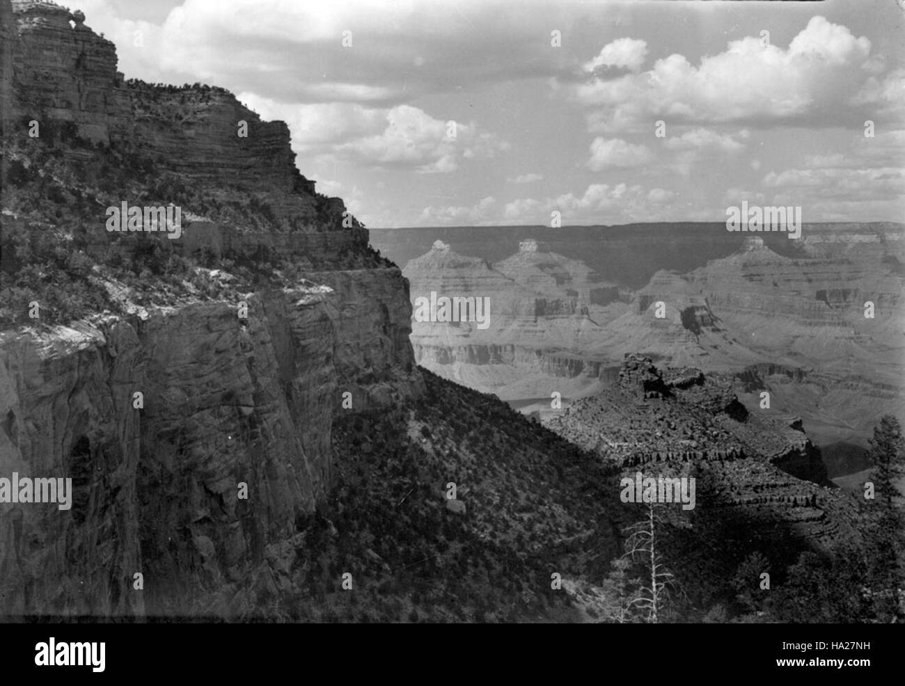 Il Bright Angel Trail nel Grand Canyon National Park offre un percorso escursionistico molto popolare con viste panoramiche, offrendo ai visitatori un percorso diretto per esplorare le caratteristiche geologiche e la bellezza naturale del canyon. Foto Stock